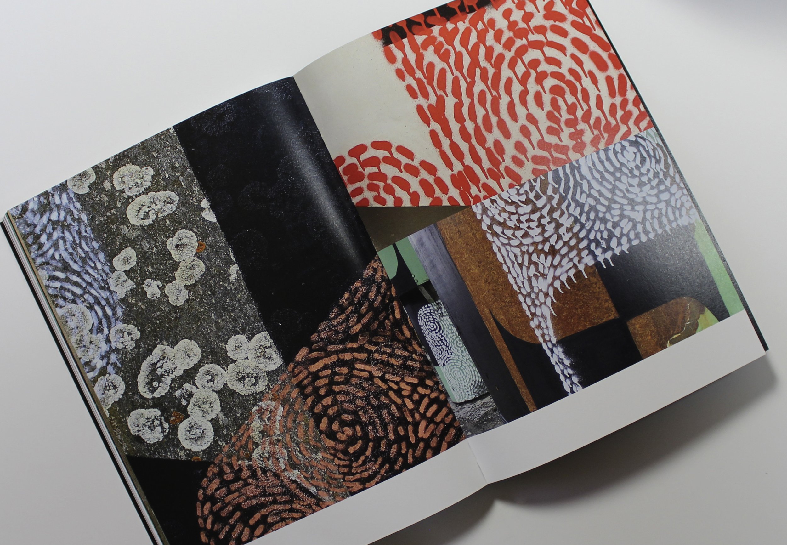 PACKSHOT BOOKS_VEIL11.jpg