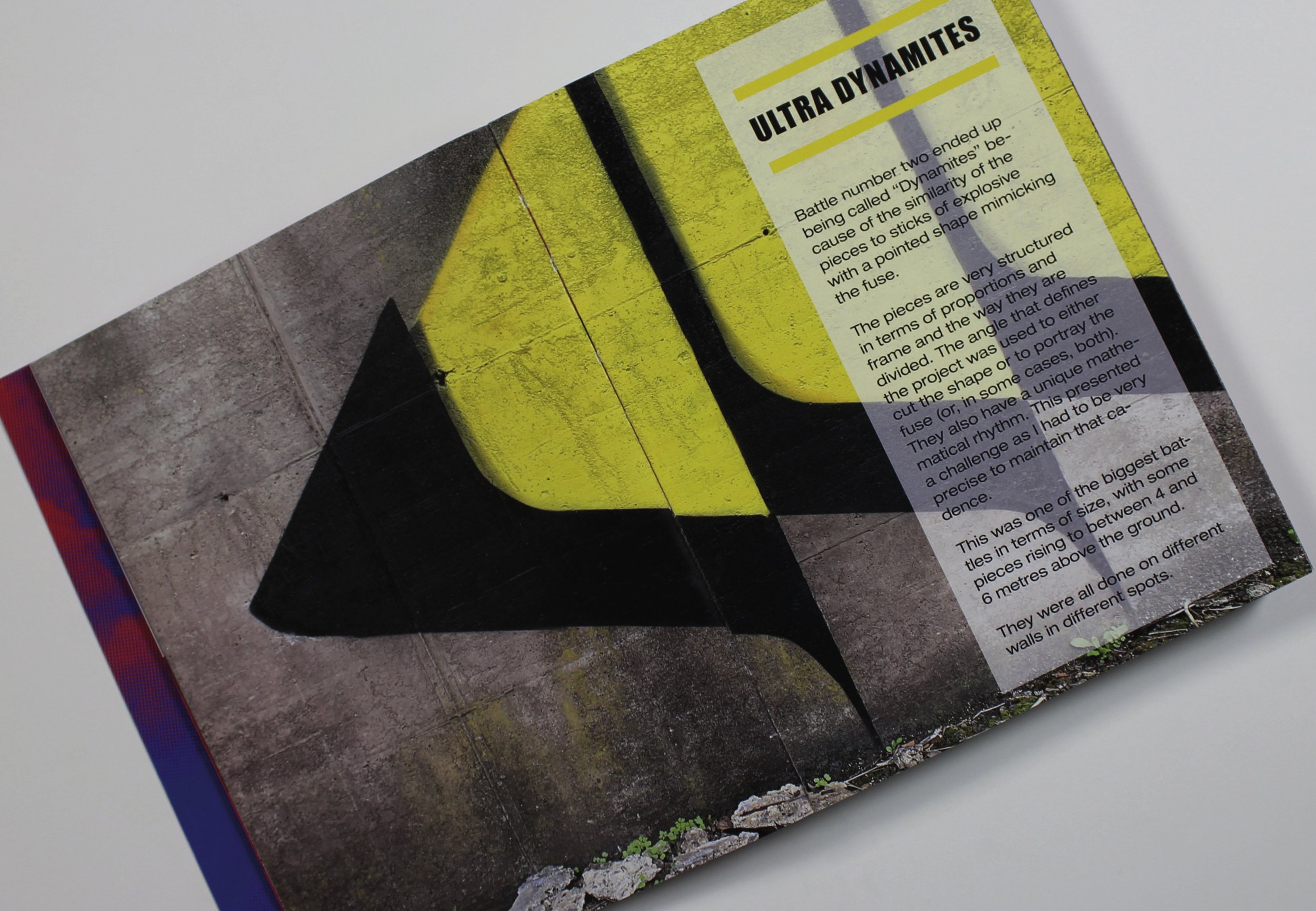 PACKSHOT BOOKS_ULTRAS UNITED8.jpg