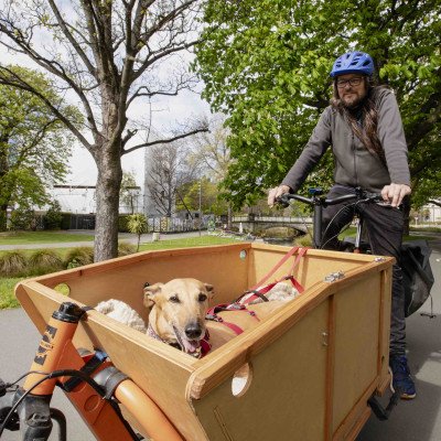 SQ-Dog-bike-4__ResizedImageWzQwMCw0MDBd.jpg