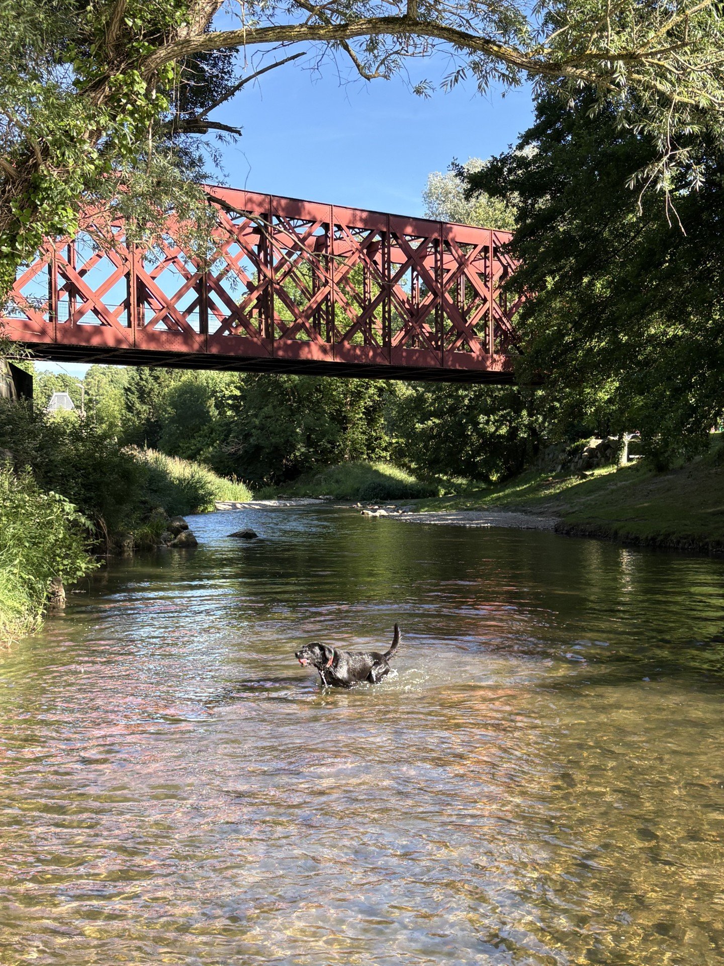 The River Must Have a Seat at the Table