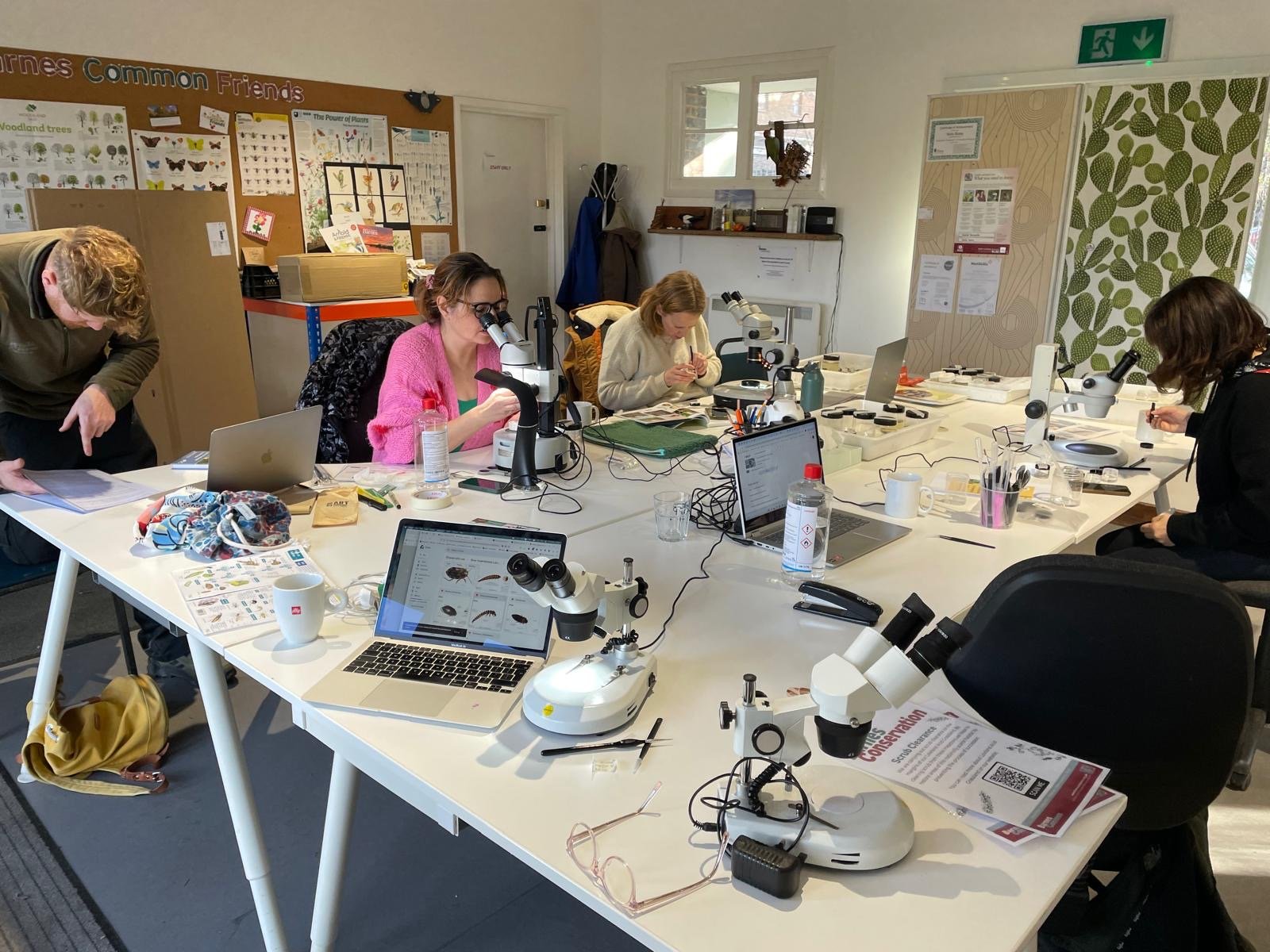 ©WildFish_Beverley Brook.JPG