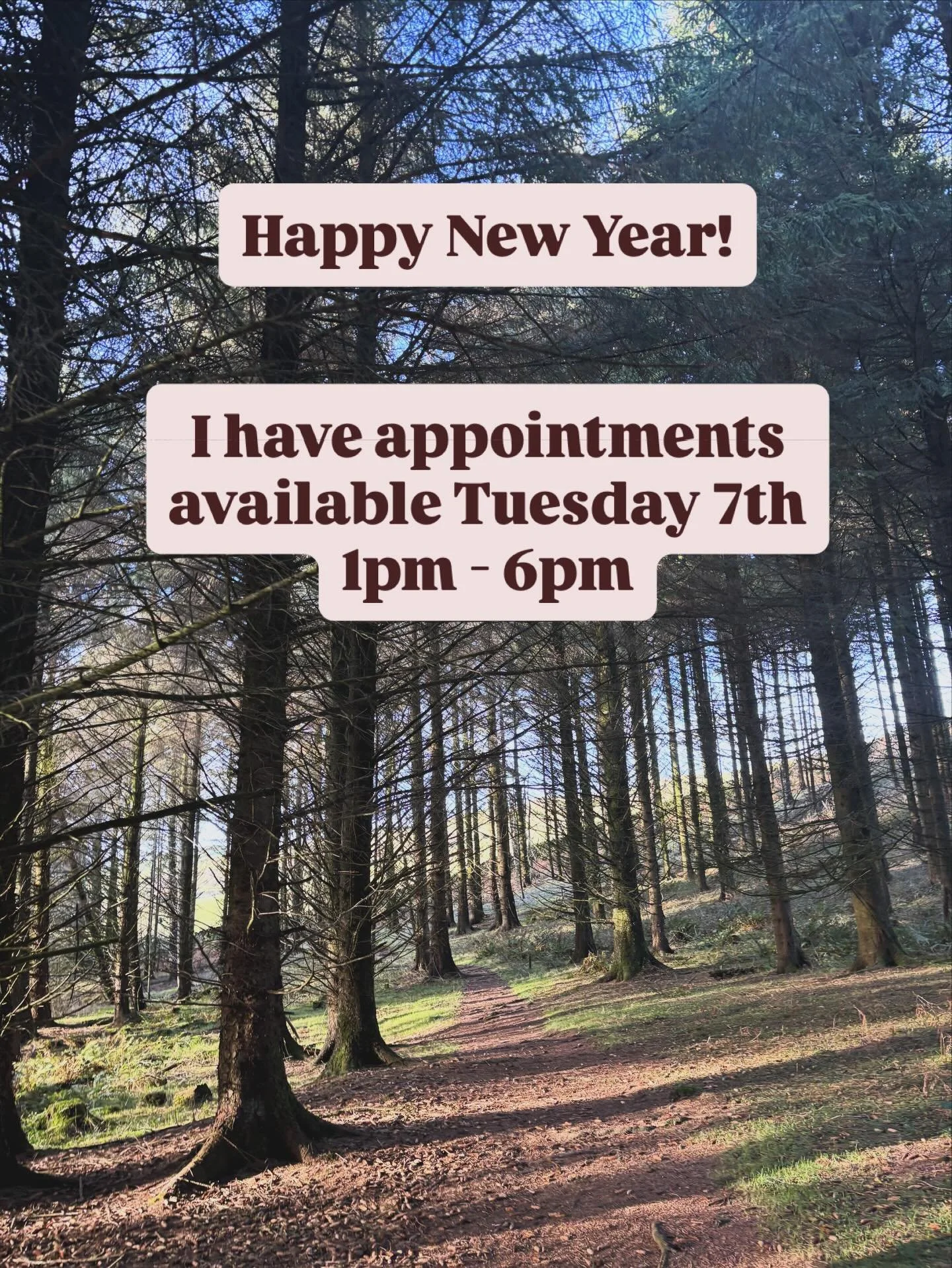 Message to book #reflexology #massage #nealsyardremedies #metime💕