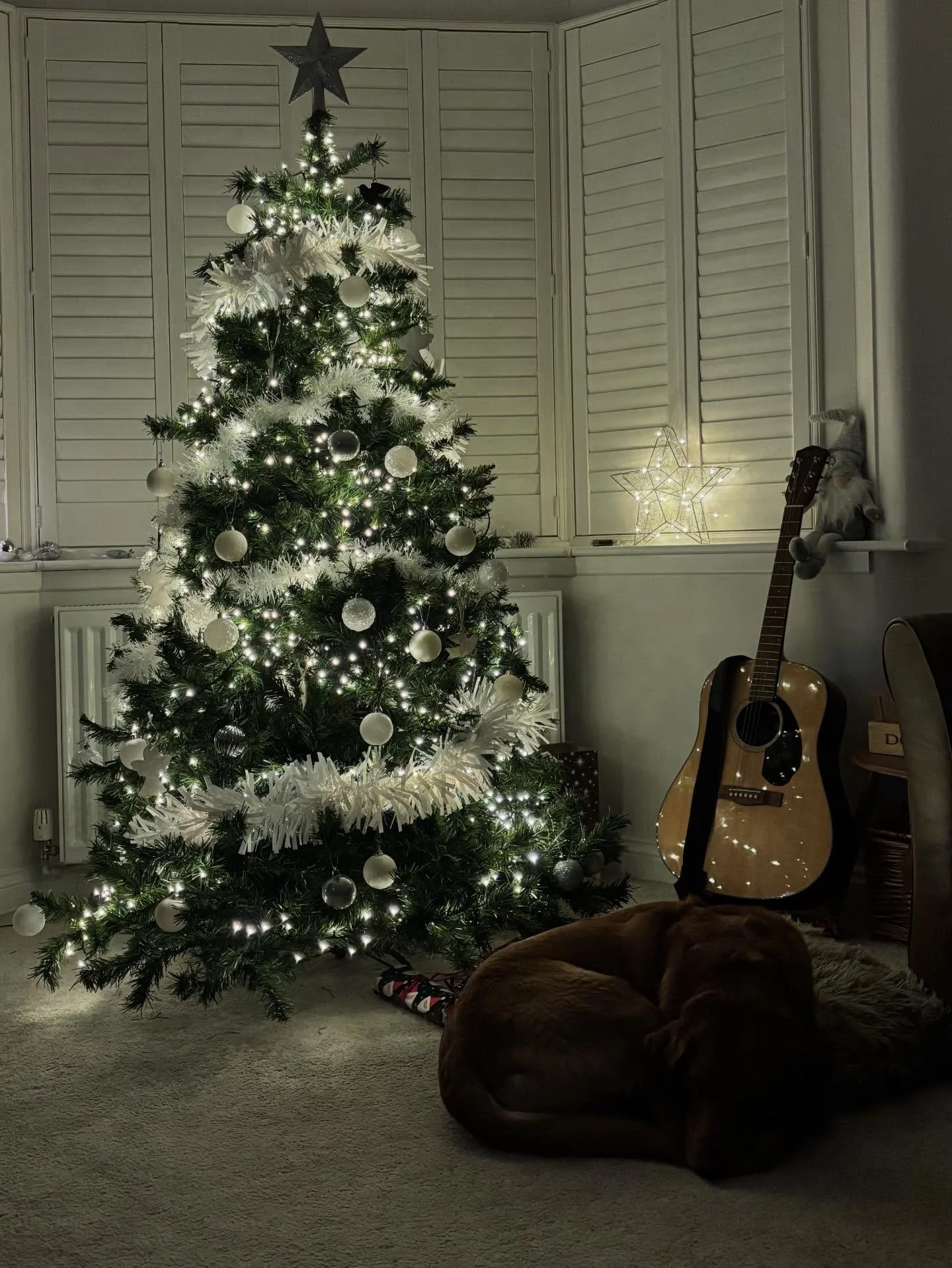 Just chillin 🐶🐾
#christmas #chill #relax #labrador