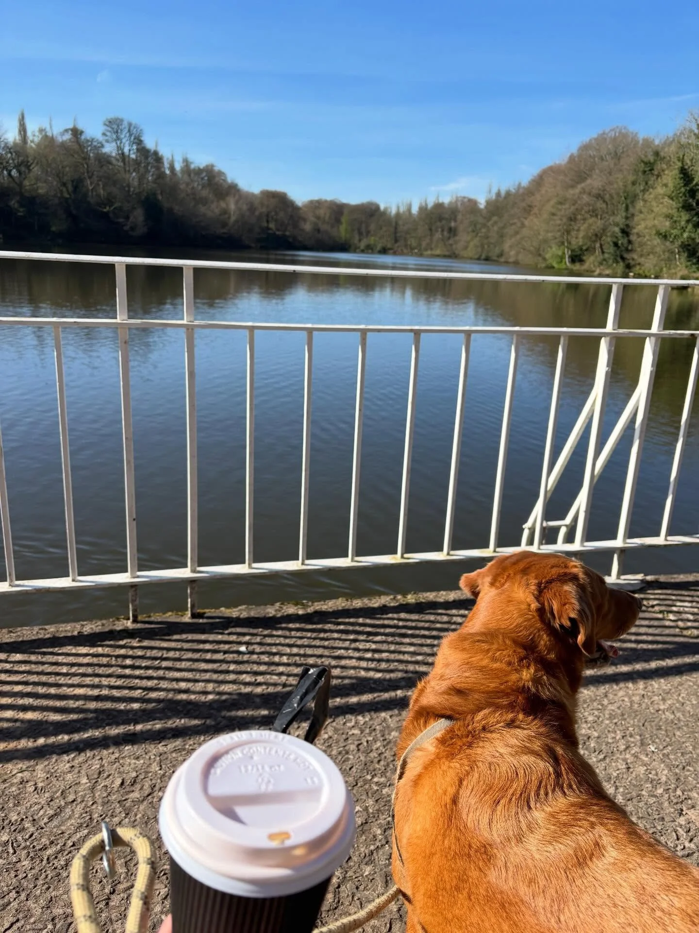 Perfect start to the day 🌞🌞