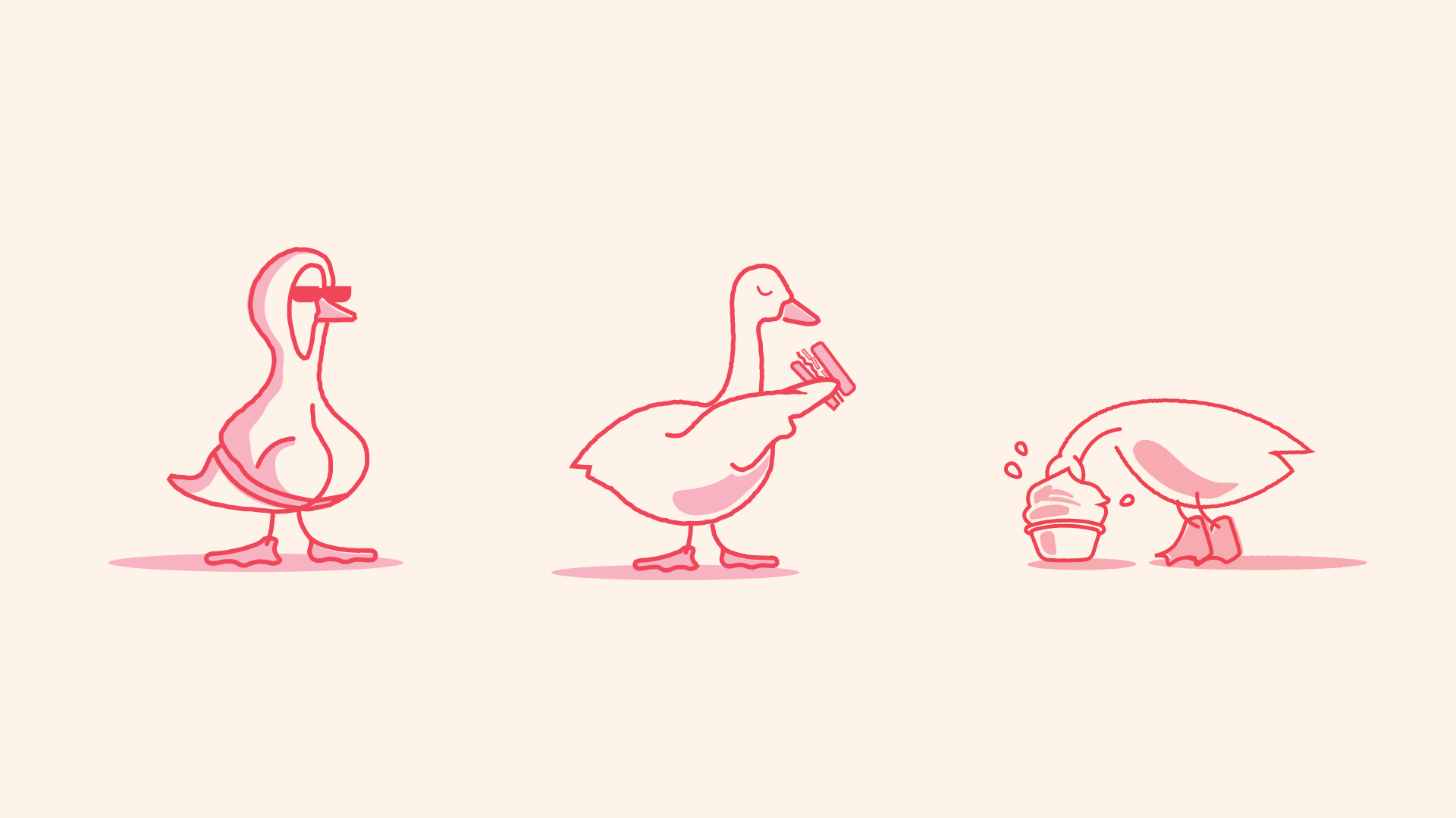 Illustrations for the Pinkfoot cafe