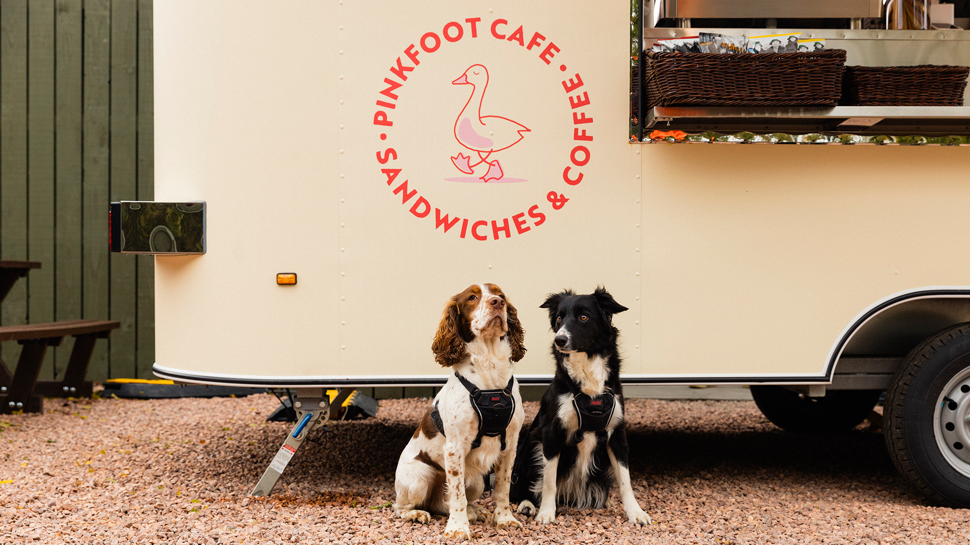GoodNoise-branding-Pinkfoot-trailer_visual.png