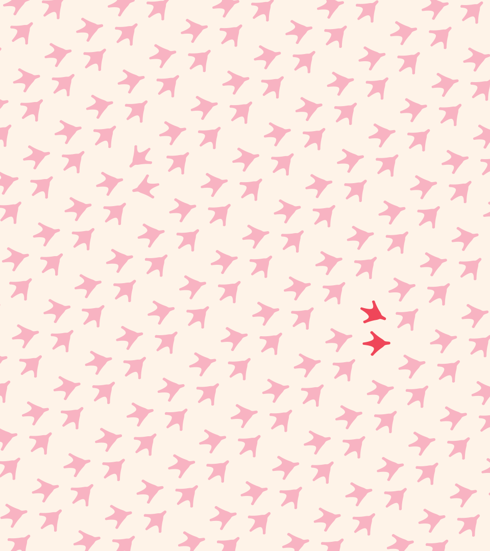 Pinkfoot Café goosefoot pattern