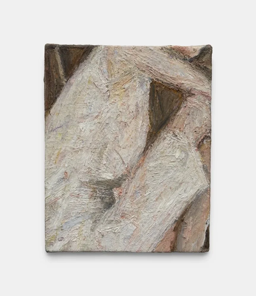 Dress II, 2024-25
Oil on canvas
25 x 20 cm