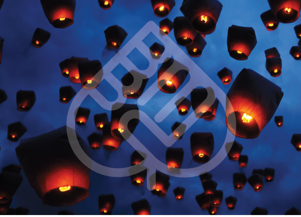 Business Partners Launch Specialist Law Firm