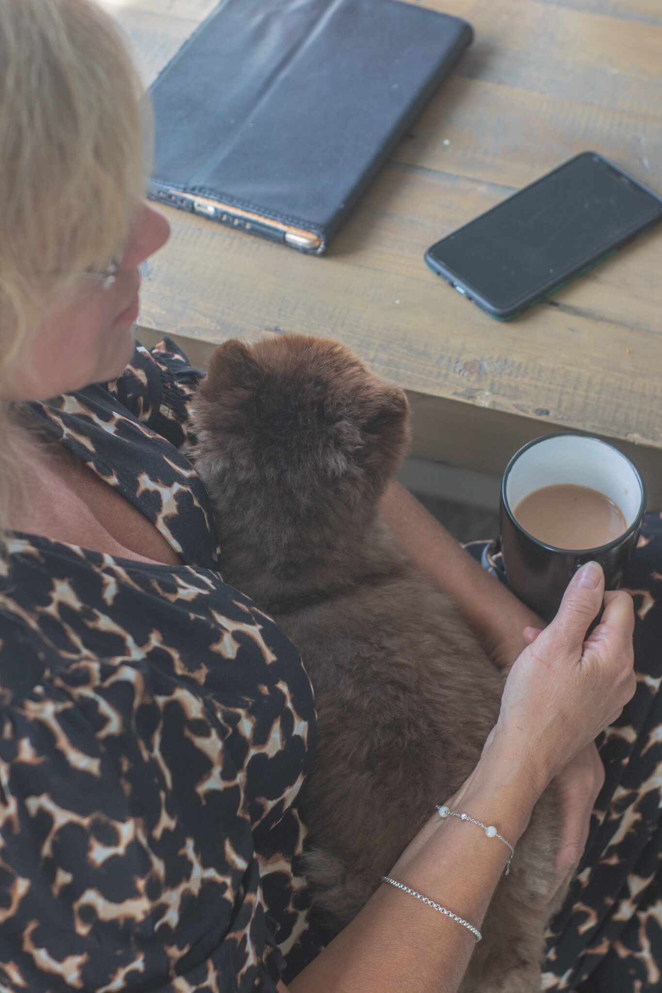 beverly casey power trauma coaching