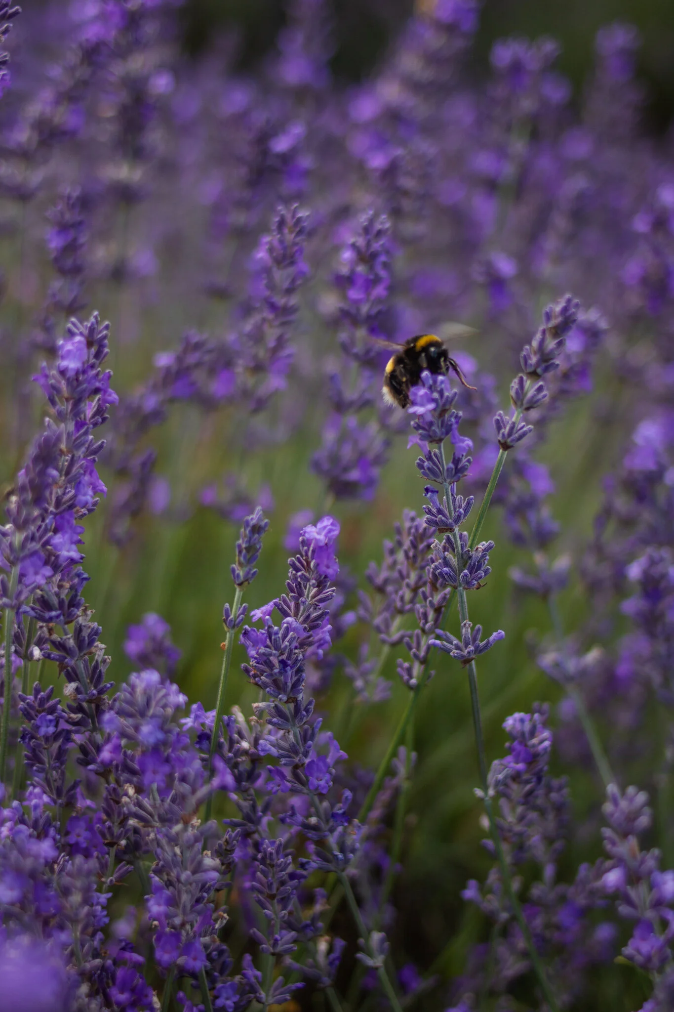 beverly casey power bristol life coach bristol trauma coaching