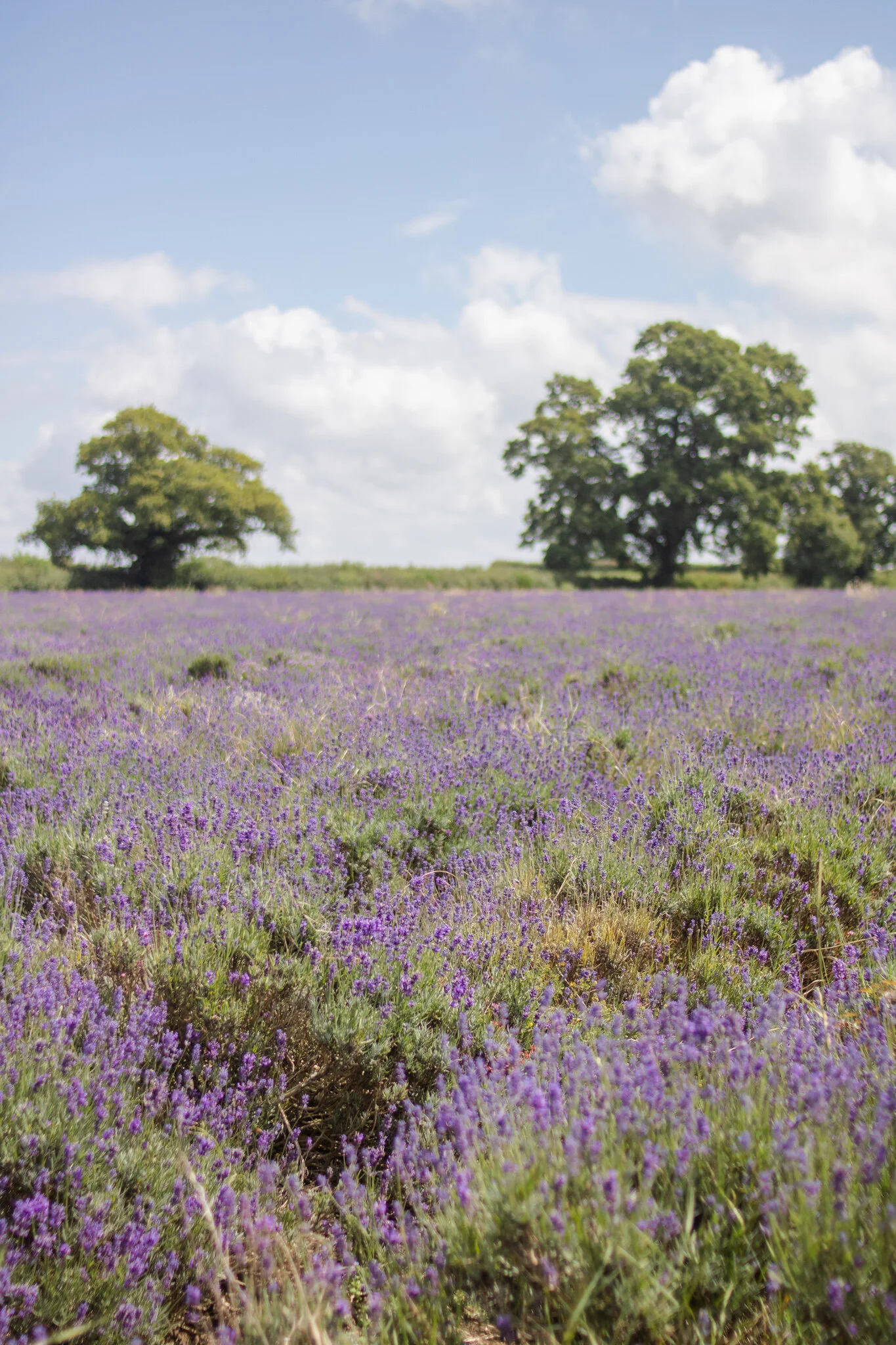 beverly casey power bristol based life coach and trauma coach