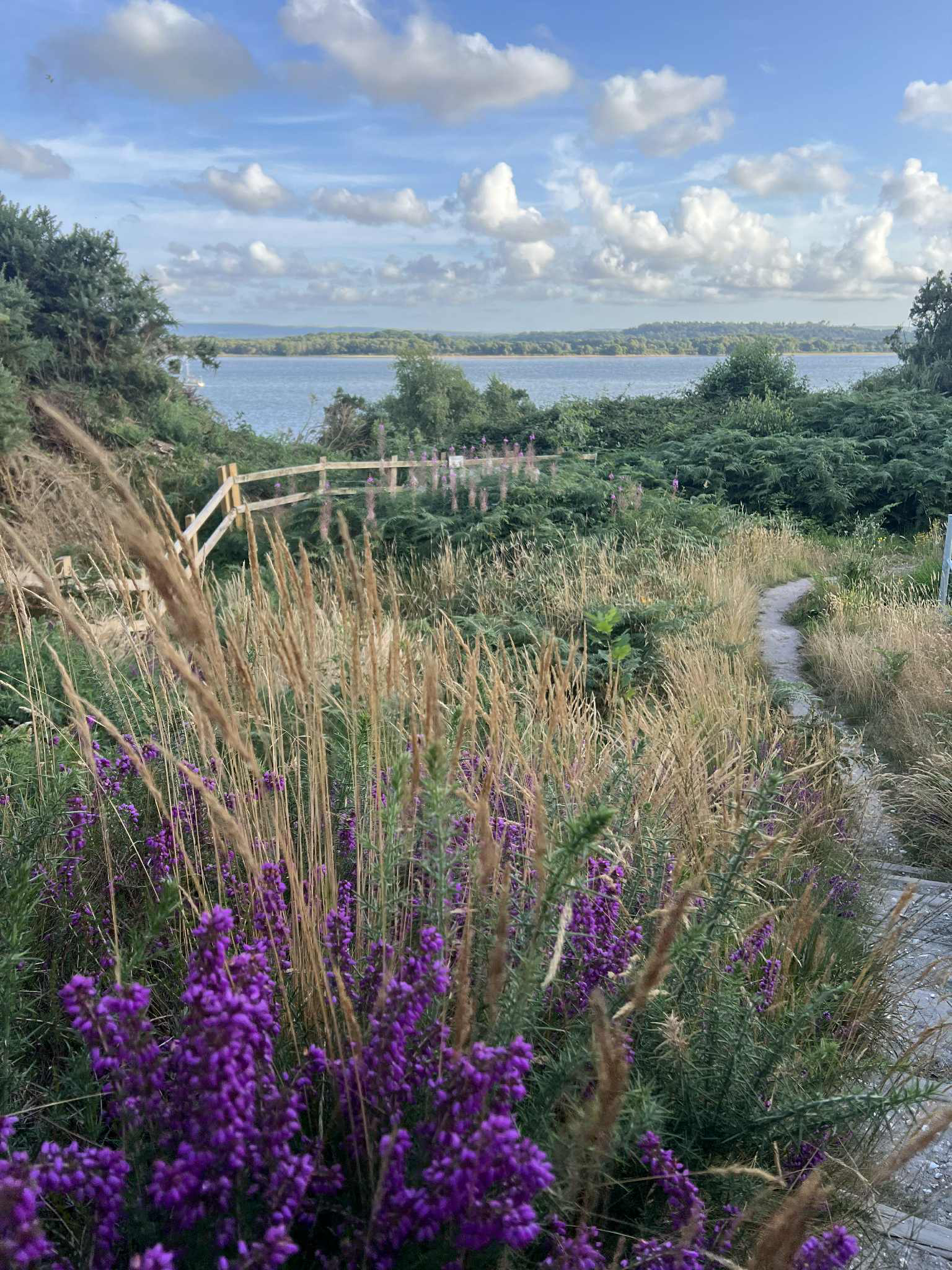 Coaching for Effective outcomes Limiting beliefs Resilience Behaviour habits Life challenges
Self-development Patterns for success Better outcomes Lasting change Effective decision-making Improved results Aligned behaviours with goals Mindset change