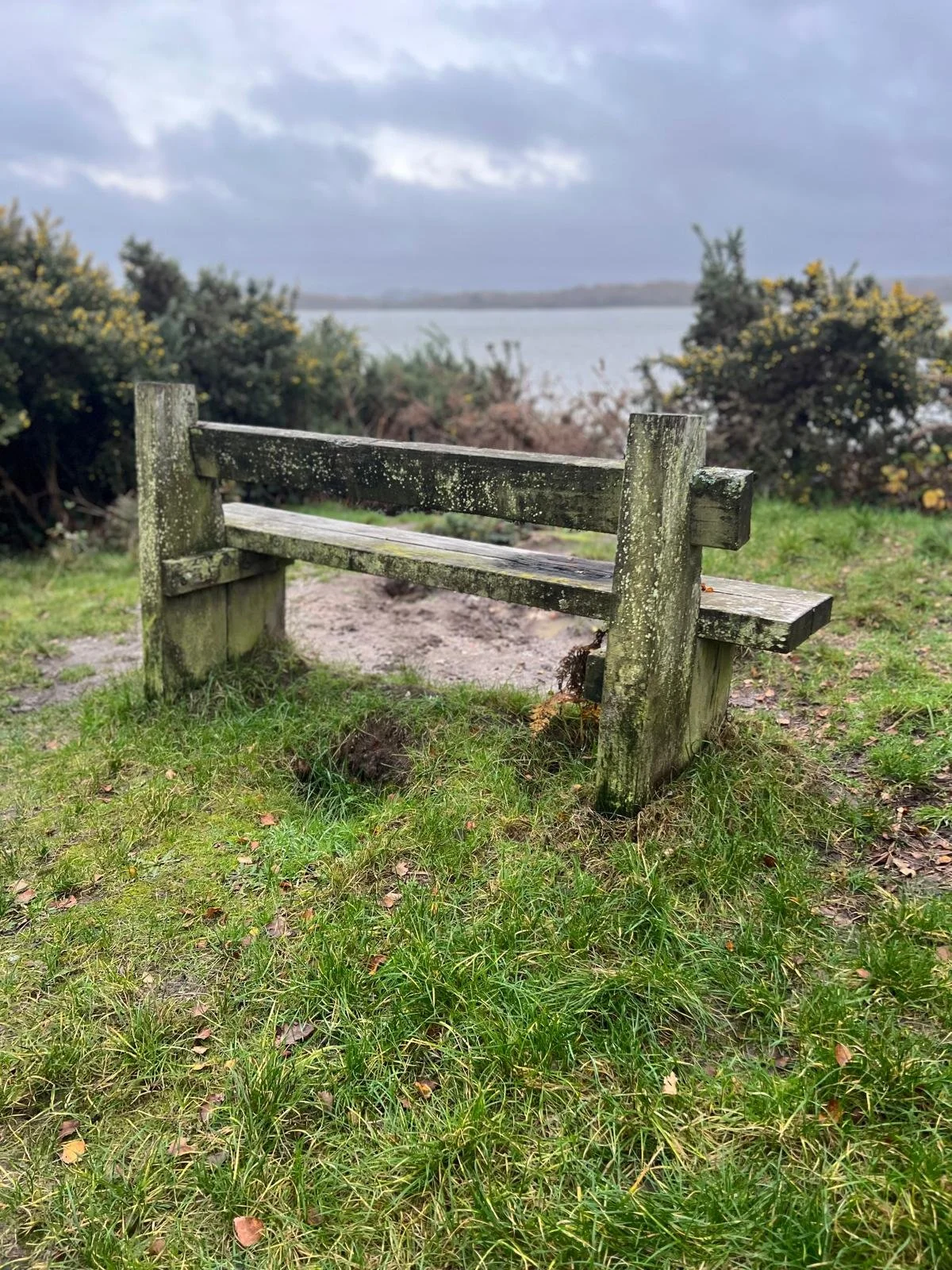 Intuitive awareness and understanding Inner senses awareness Representational system coaching Clarity through intuition Self-awareness coaching Intuitive life coaching Intuition and decision-making Connect with inner guidance Developing intuition