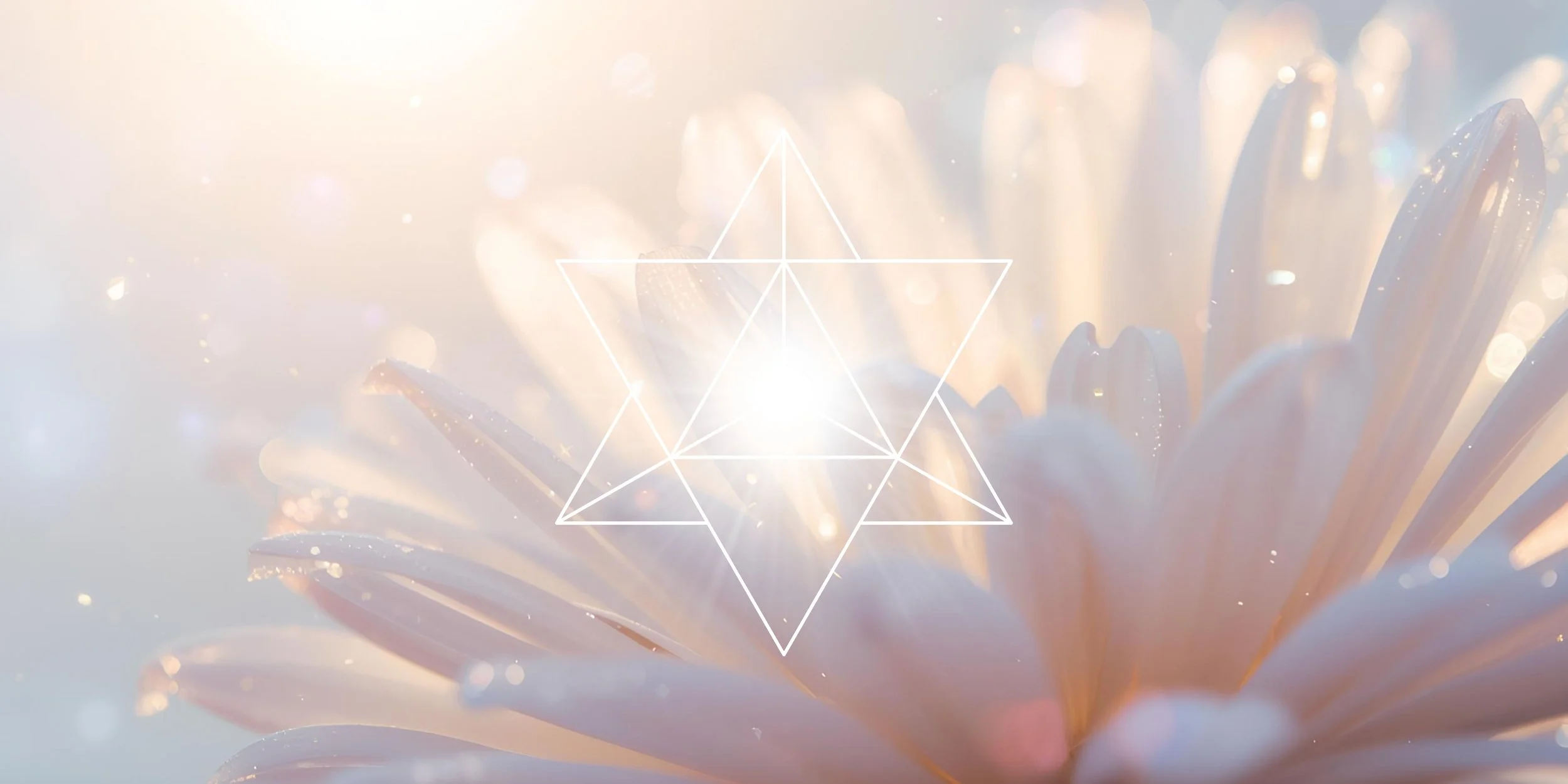 lightbody activation session supporting spiritual awakening and expanded awareness