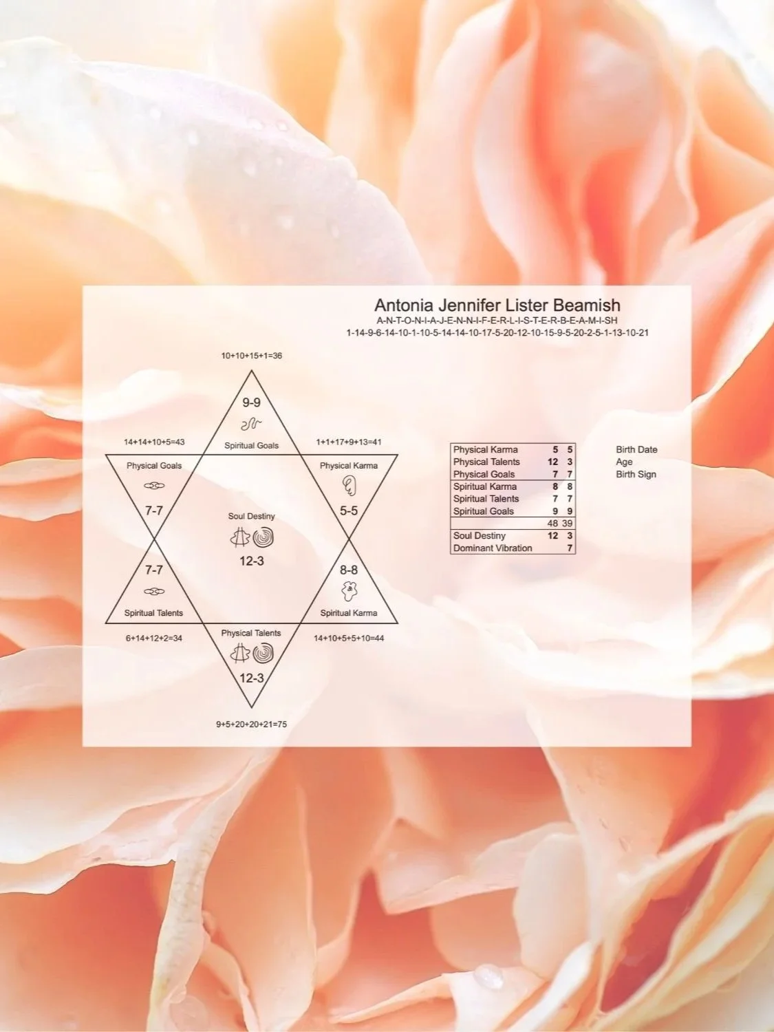 soul contract chart showing numbers and energies that shape life experiences