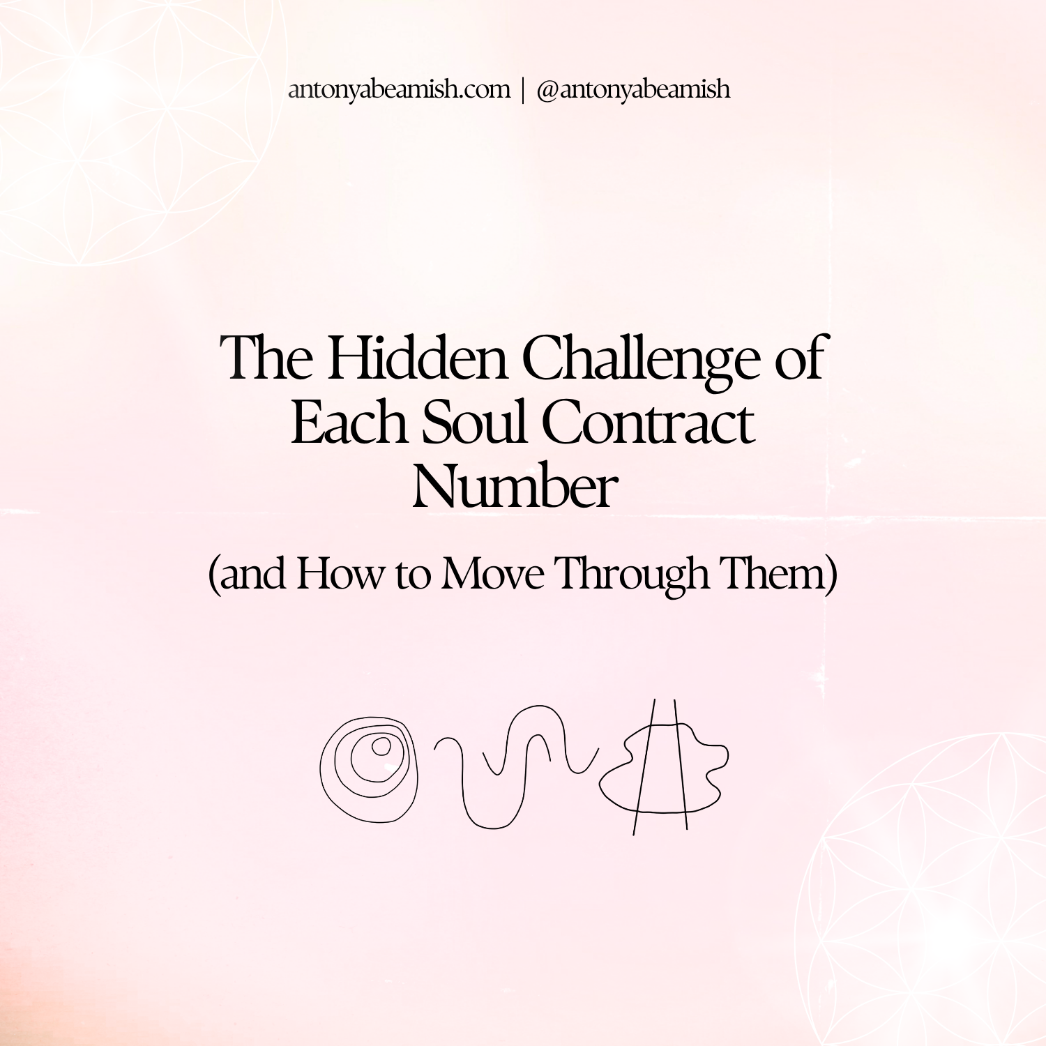 The Hidden Challenge of Each Soul Contract Number