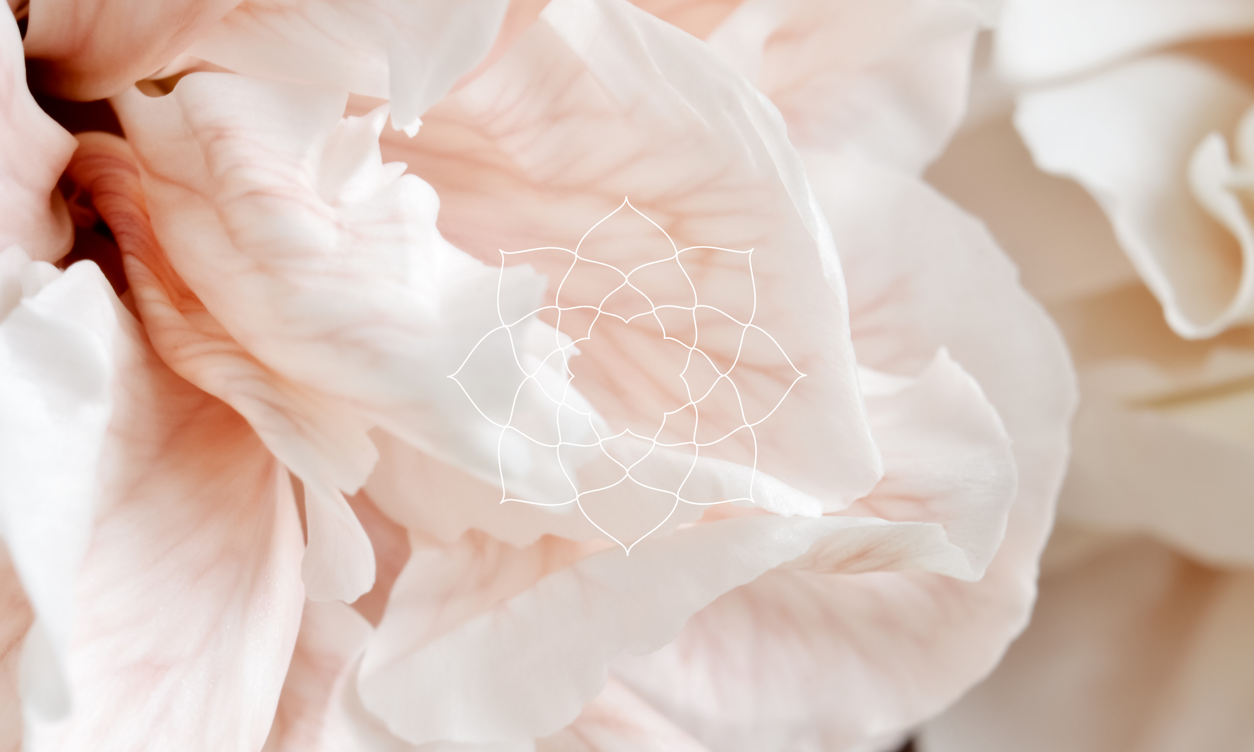 spiritual and emotional group healing