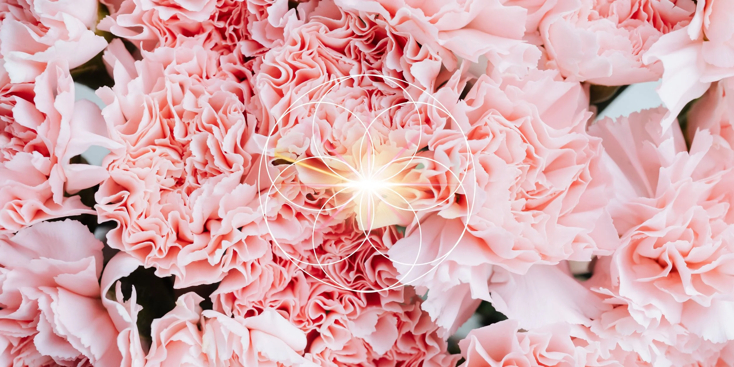 emotional healing and trauma release