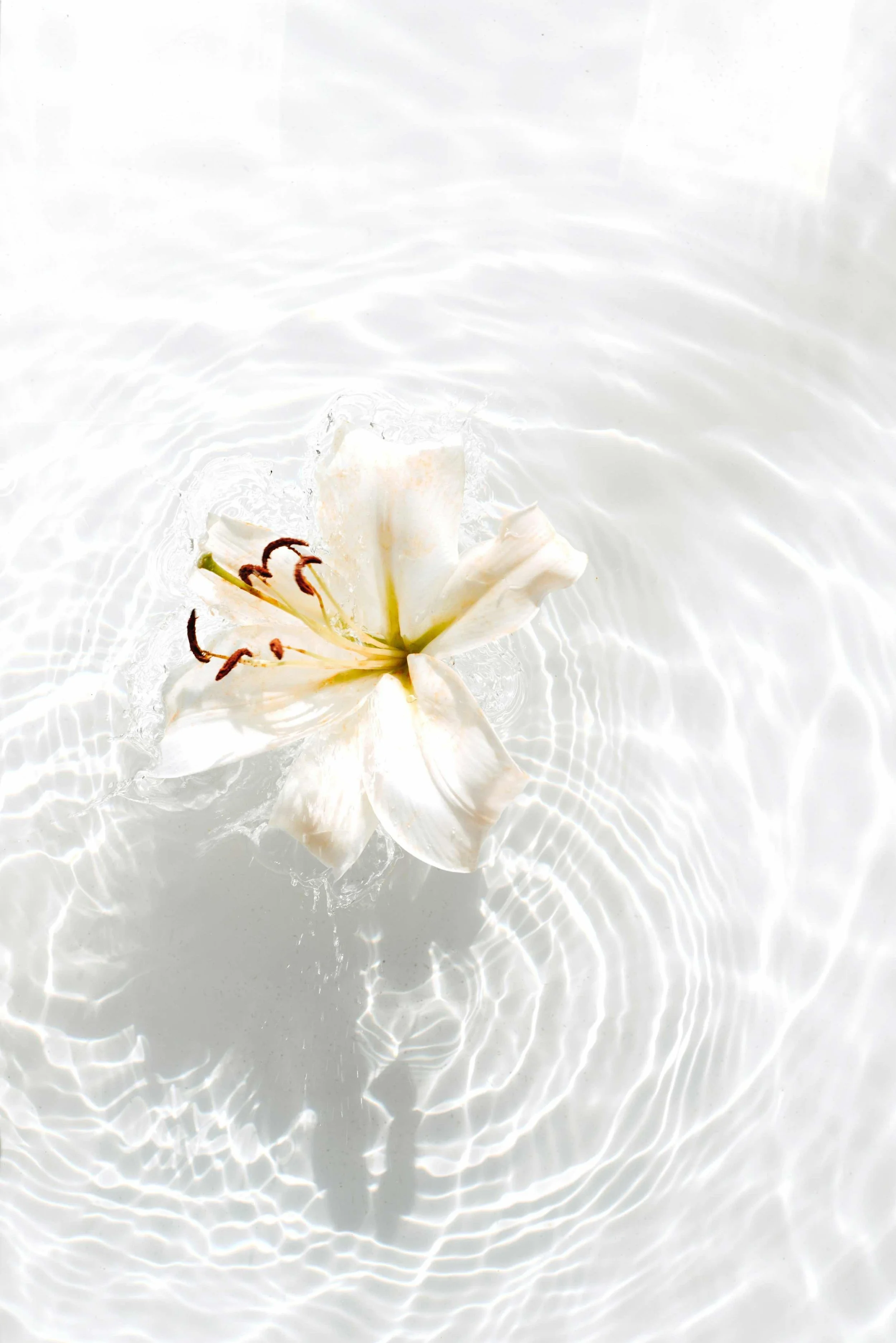 woman on a self-discovery and healing journey wanting emotional support