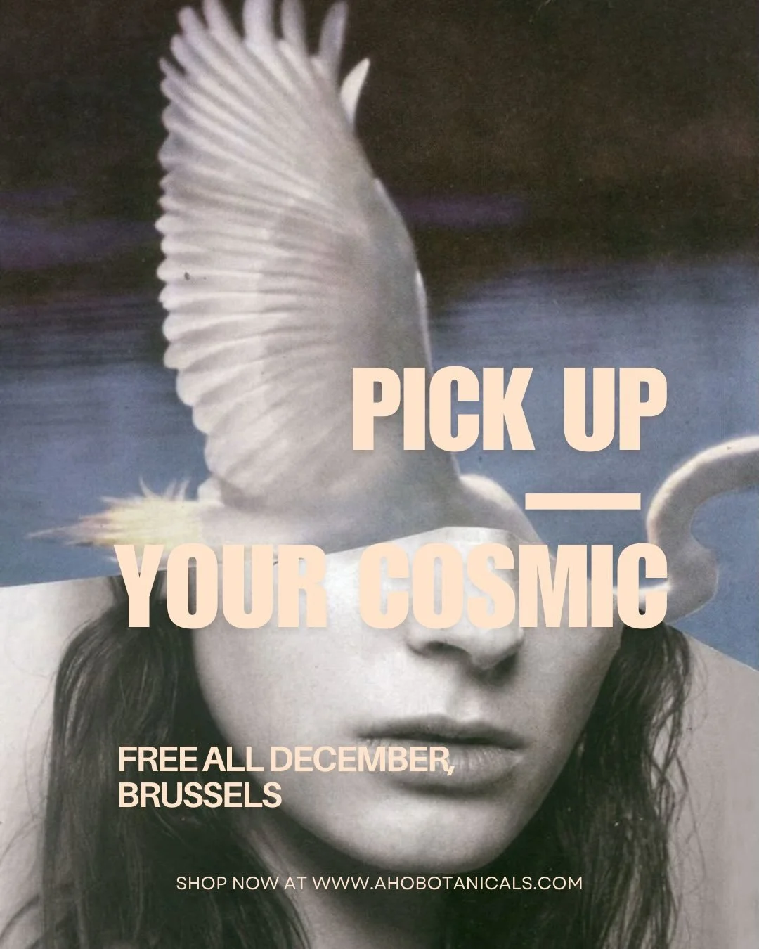 Free pick up in Brussels 🎄

Les f&ecirc;tes arrivent &agrave; grand pas et cela met du baume au coeur dans cette grisaille ☁️ 

Comme certaines l&rsquo;avaient demand&eacute;, l&rsquo;option de retrait Avenue Louise (sur rdv) est &agrave; nouveau ac
