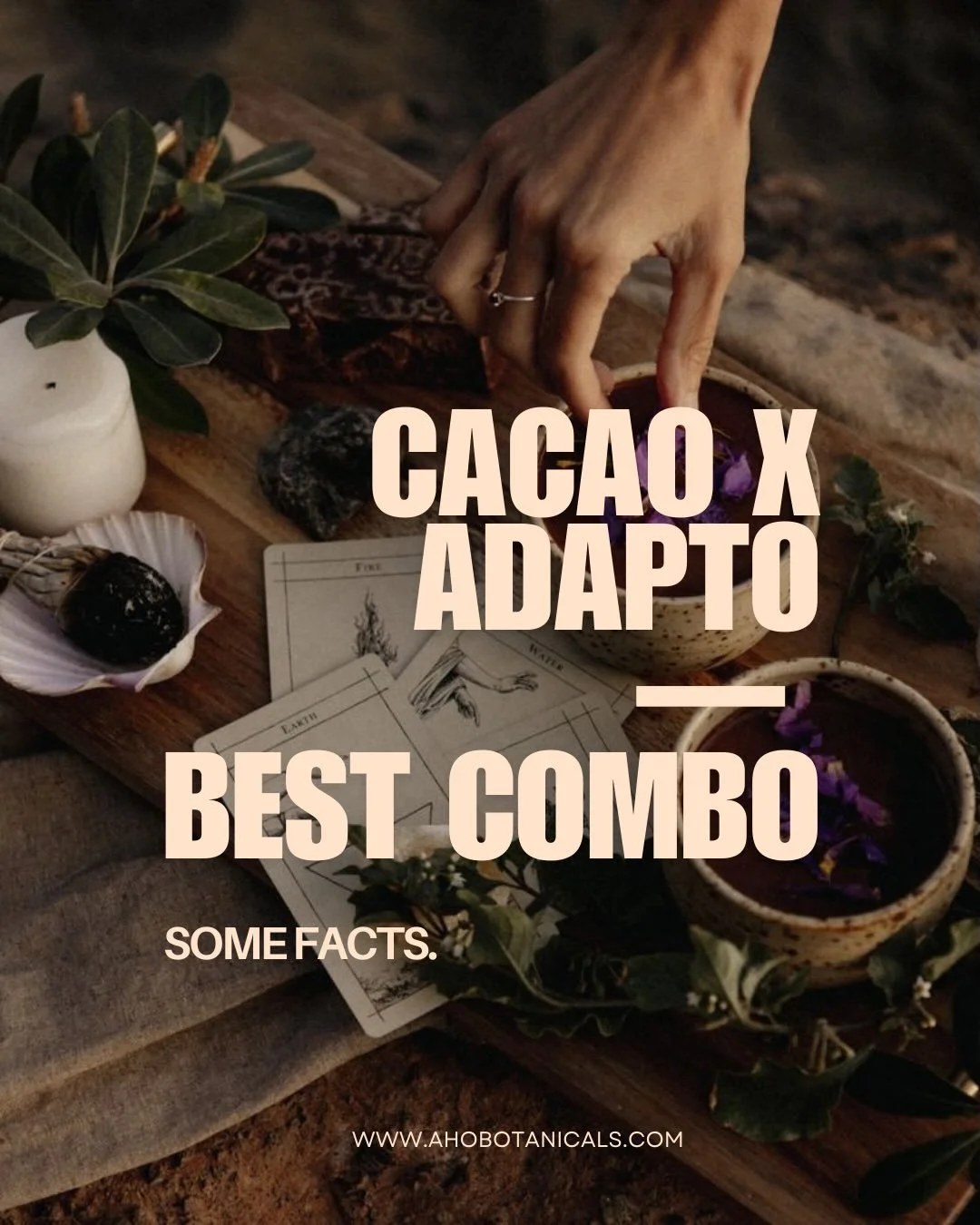 Saviez-vous que consommer du cacao cru avec vos adaptog&egrave;nes favorise leur bonne absorption ? 🧬☕️

Le cacao cru am&eacute;liore l&rsquo;absorption et la biodisponibilit&eacute; gr&acirc;ce &agrave; sa teneur &eacute;lev&eacute;e en flavono&ium