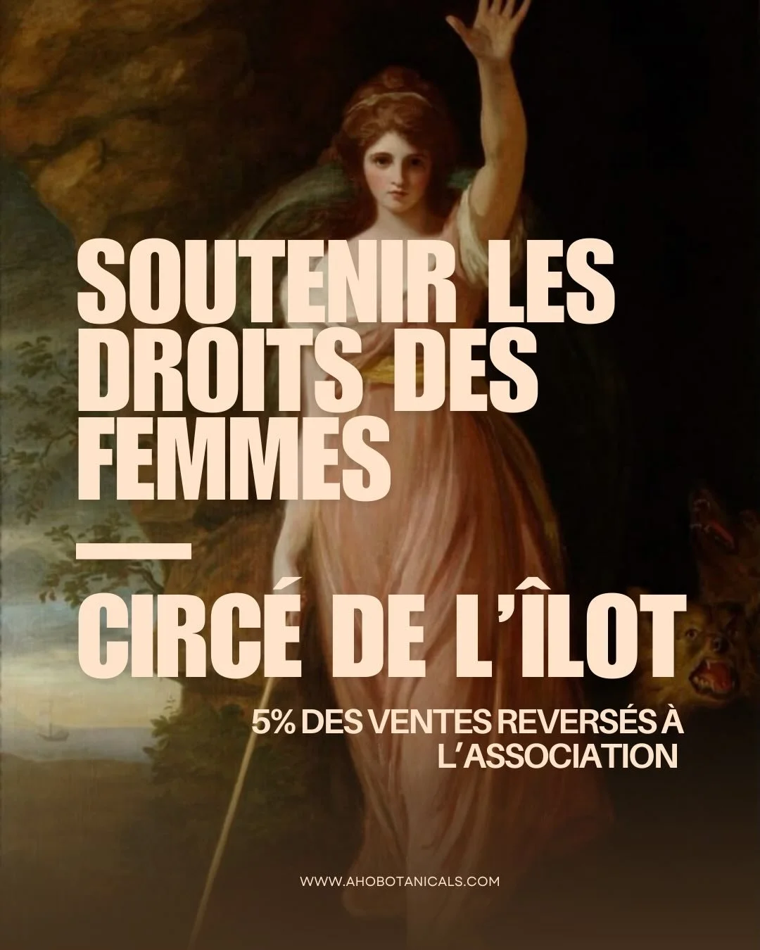 Bonjour cosmic soul,

Si il y a bien un sujet qui me prend aux tripes, c&rsquo;est celui du sans-abrisme des femmes. On estime aujourd&rsquo;hui cette r&eacute;alit&eacute; &agrave; 2000 femmes environ &agrave; Bruxelles (soit 20% de la population sa