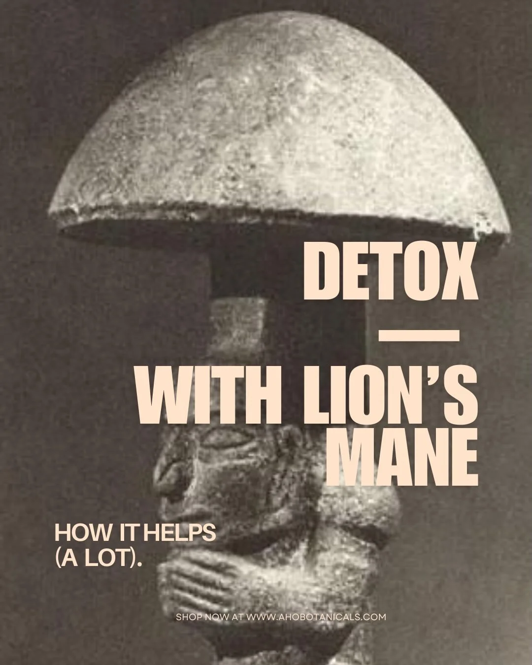 DETOX SEASON 🍵

Savais-tu que le Lion&rsquo;s mane (Hericium erinaceus) est un alli&eacute; pr&eacute;cieux lors d&rsquo;une d&eacute;tox? 

En effet, ce champignon m&eacute;dicinal stimule la production de facteurs neurotrophiques, favorisant clart