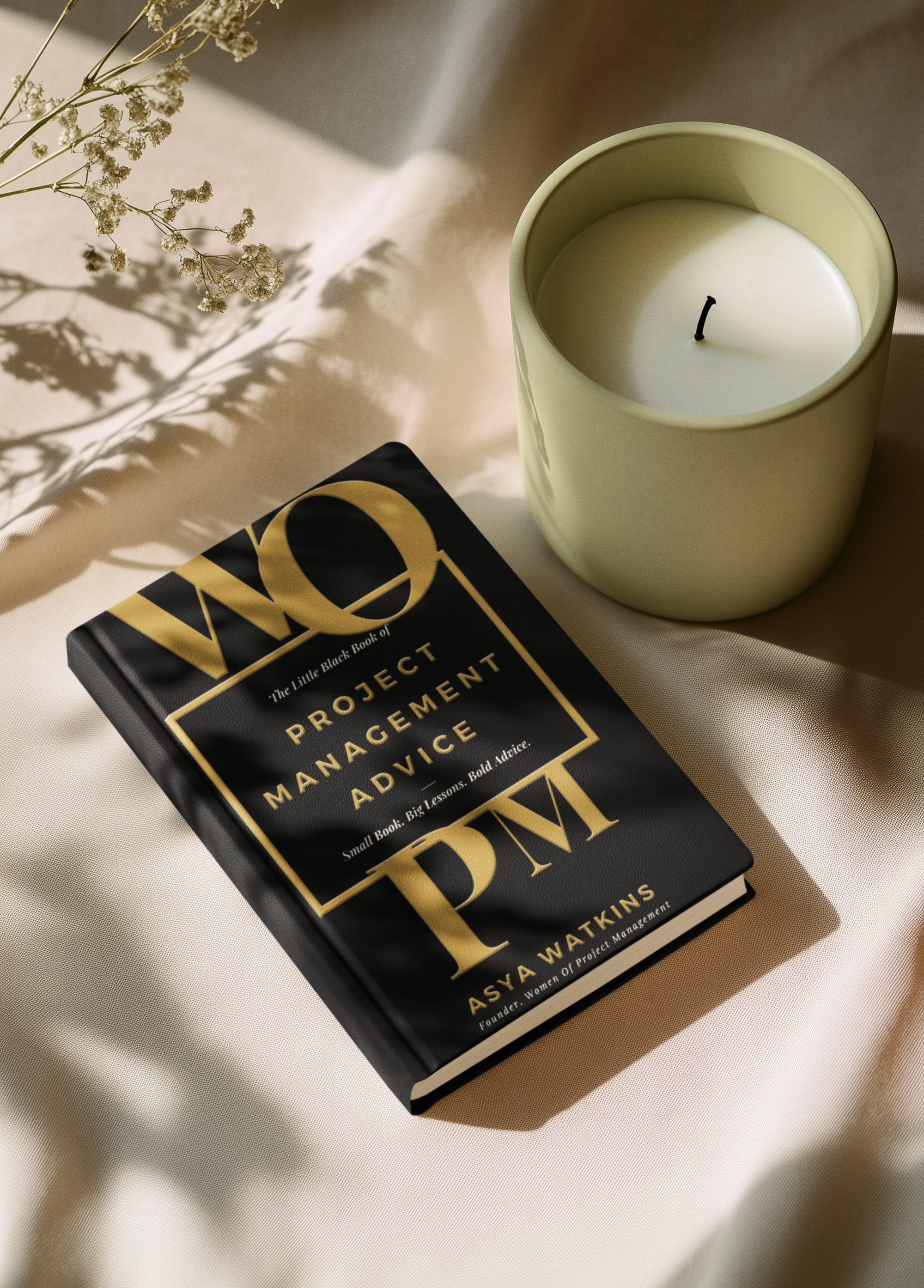 The Little Black Book of Project Management Advice – Special Edition ...