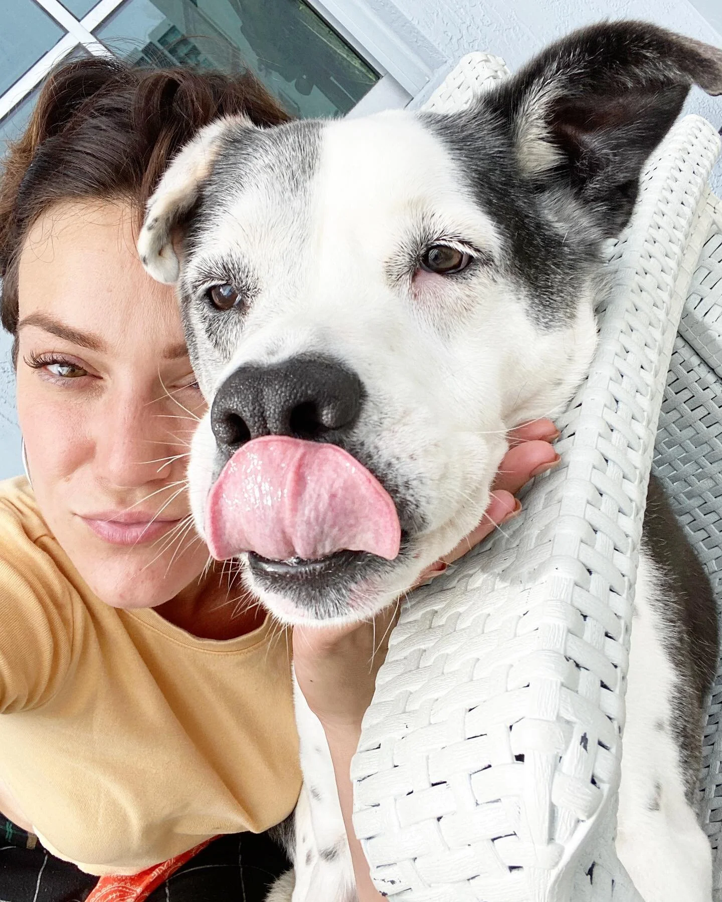 🐾 Love of My Life #Kingston ❤️ 

#AshlysHands 
#Shands