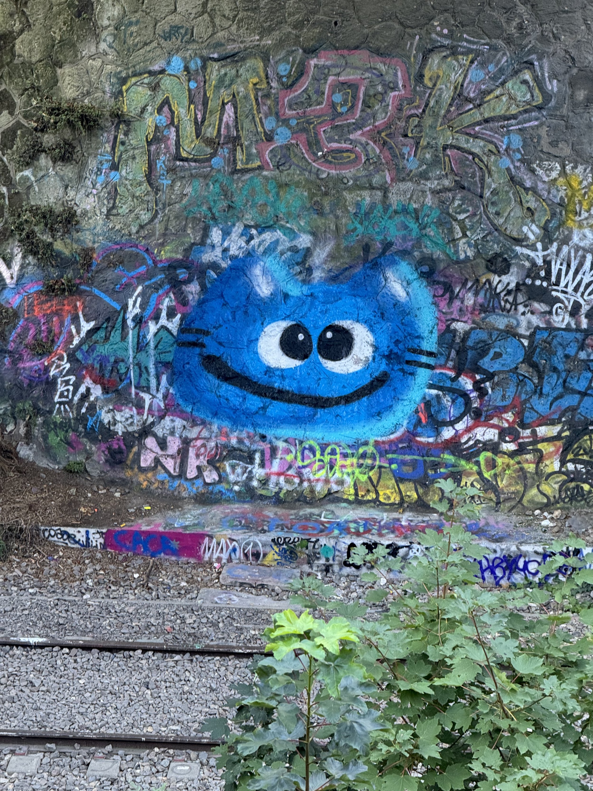 IMG_7939.jpeg