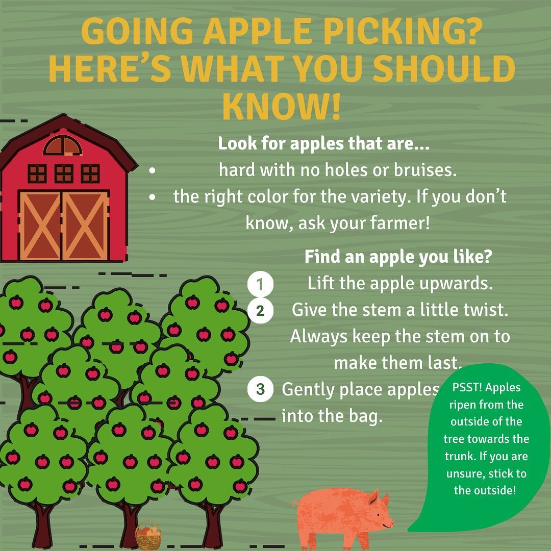 Did you know it&rsquo;s National Apple Month? We sure did! We hope you&rsquo;re going apple picking this month to celebrate and use these easy tips! 

What&rsquo;s your favorite type of apple? 

#applepicking #farming #nationalapplemonth #shoplocal