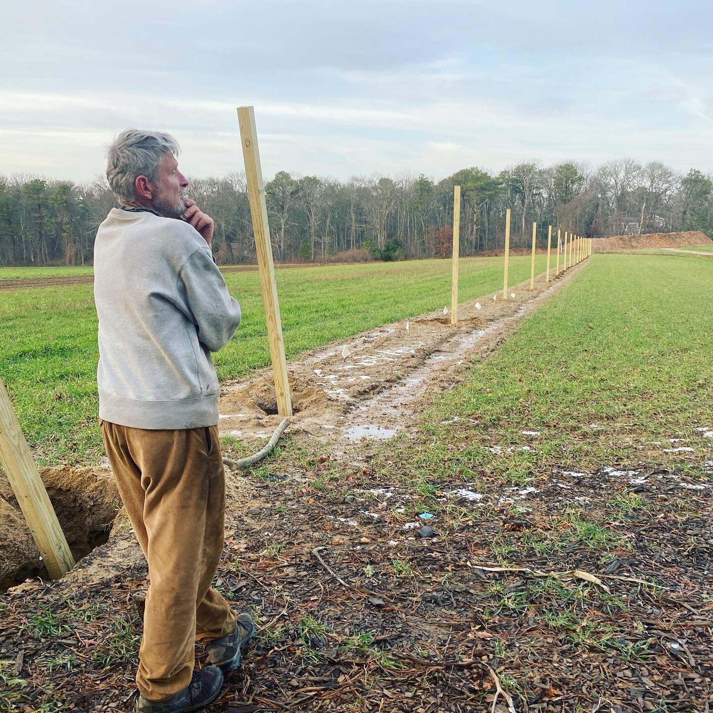 Give a gift to the community this season! Did you know Farming Falmouth is planning and is currently working on a community orchard here in Falmouth. Support your food system through a donation to Farming Falmouth. We are a 501c3 with big plans for t