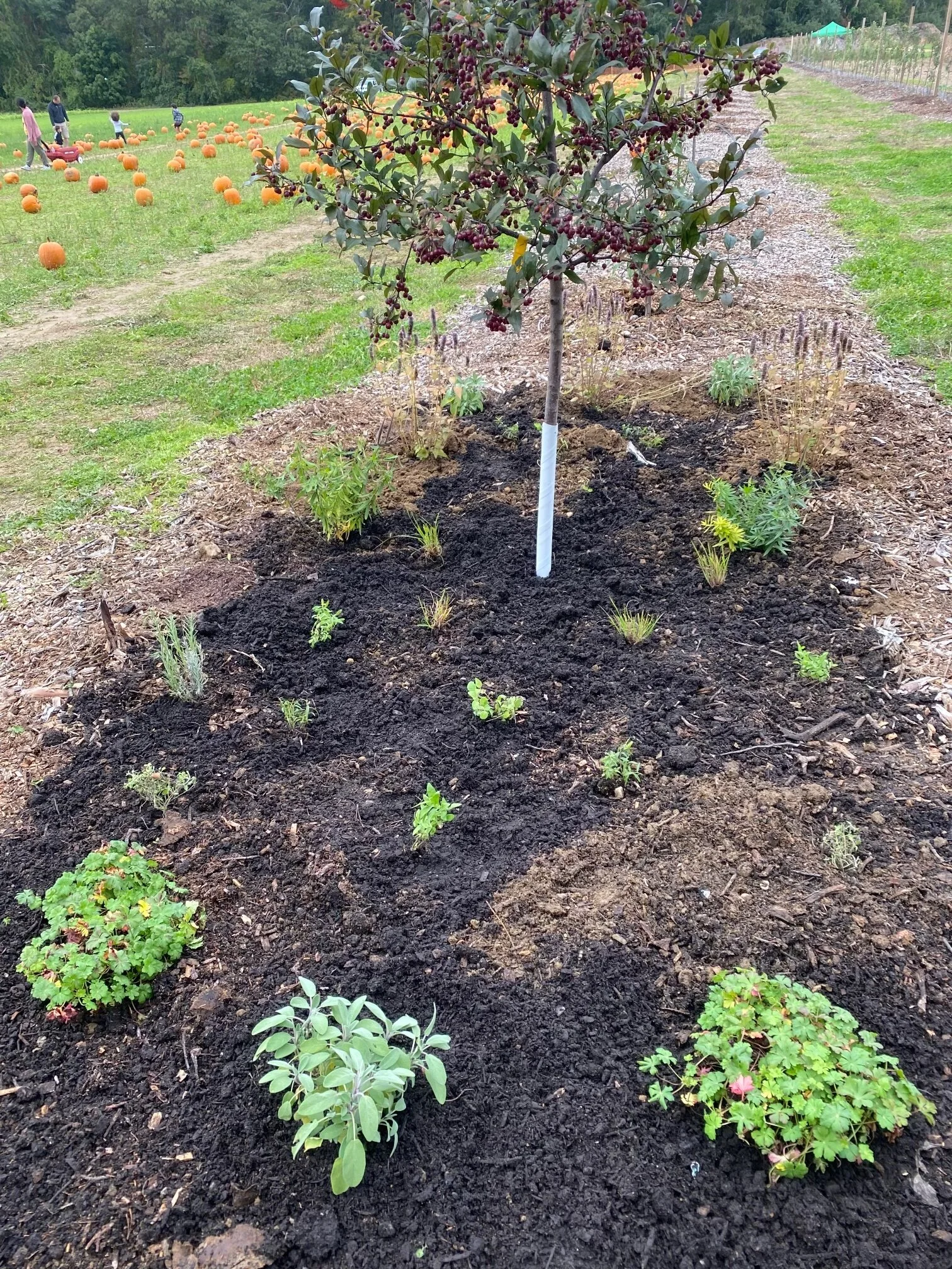 compost day.jpg