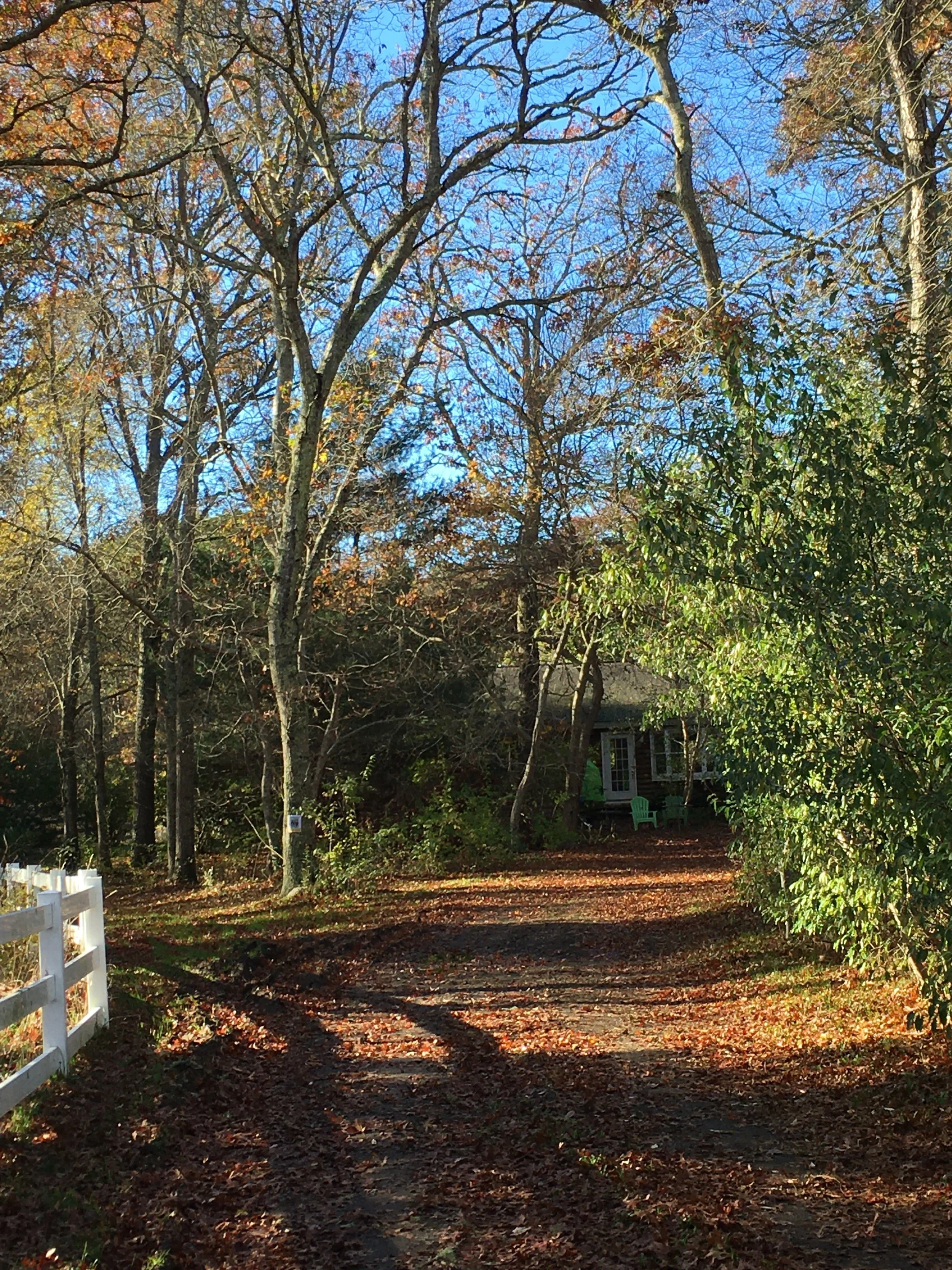 A Race to Save Farmland