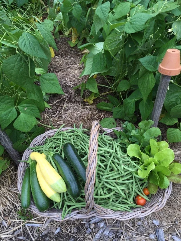 C.L. Fornari: Growing Dinner and Food Security — April 22