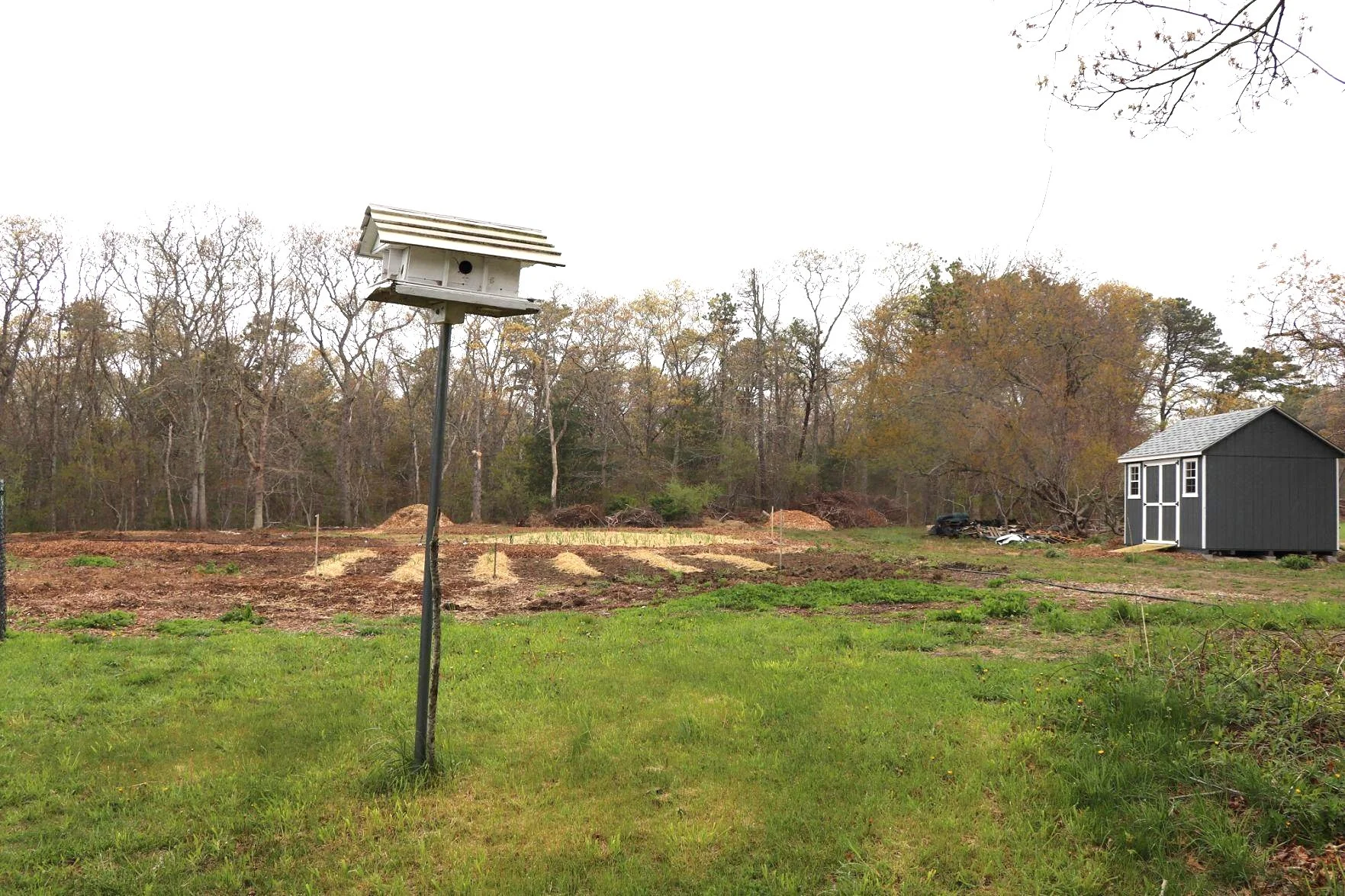 Farming Falmouth To Start Garden For Falmouth Service Center — May 5