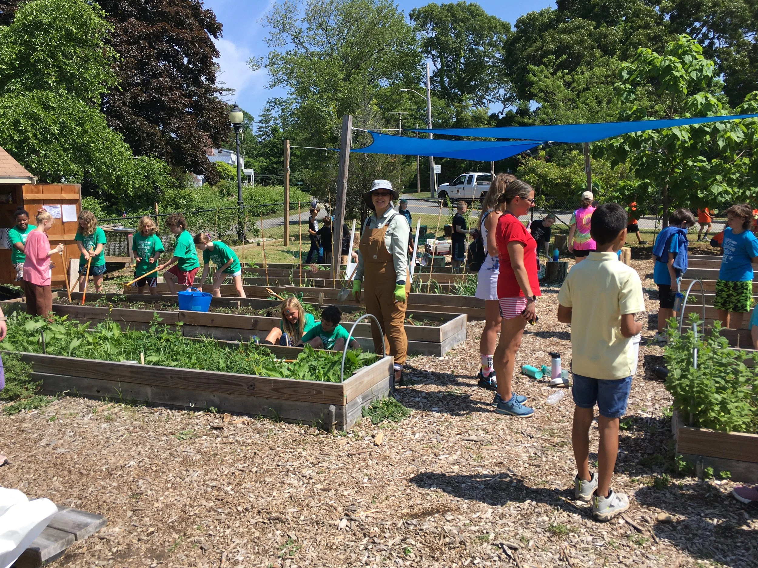 Mullen Hall School Garden