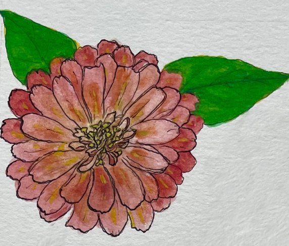 Seed Saving with Josh Leveque