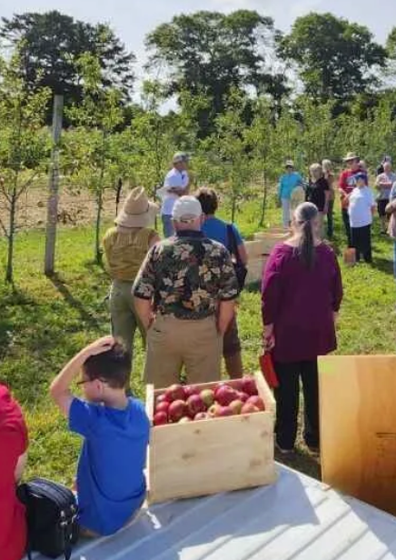 Orchard Spraying and Pruning — March 28