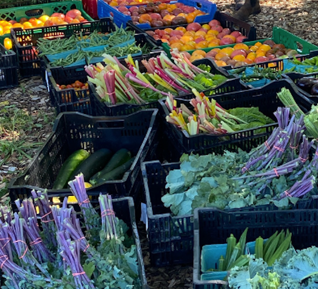 Volunteer at the Service Garden — March 21 and March 27