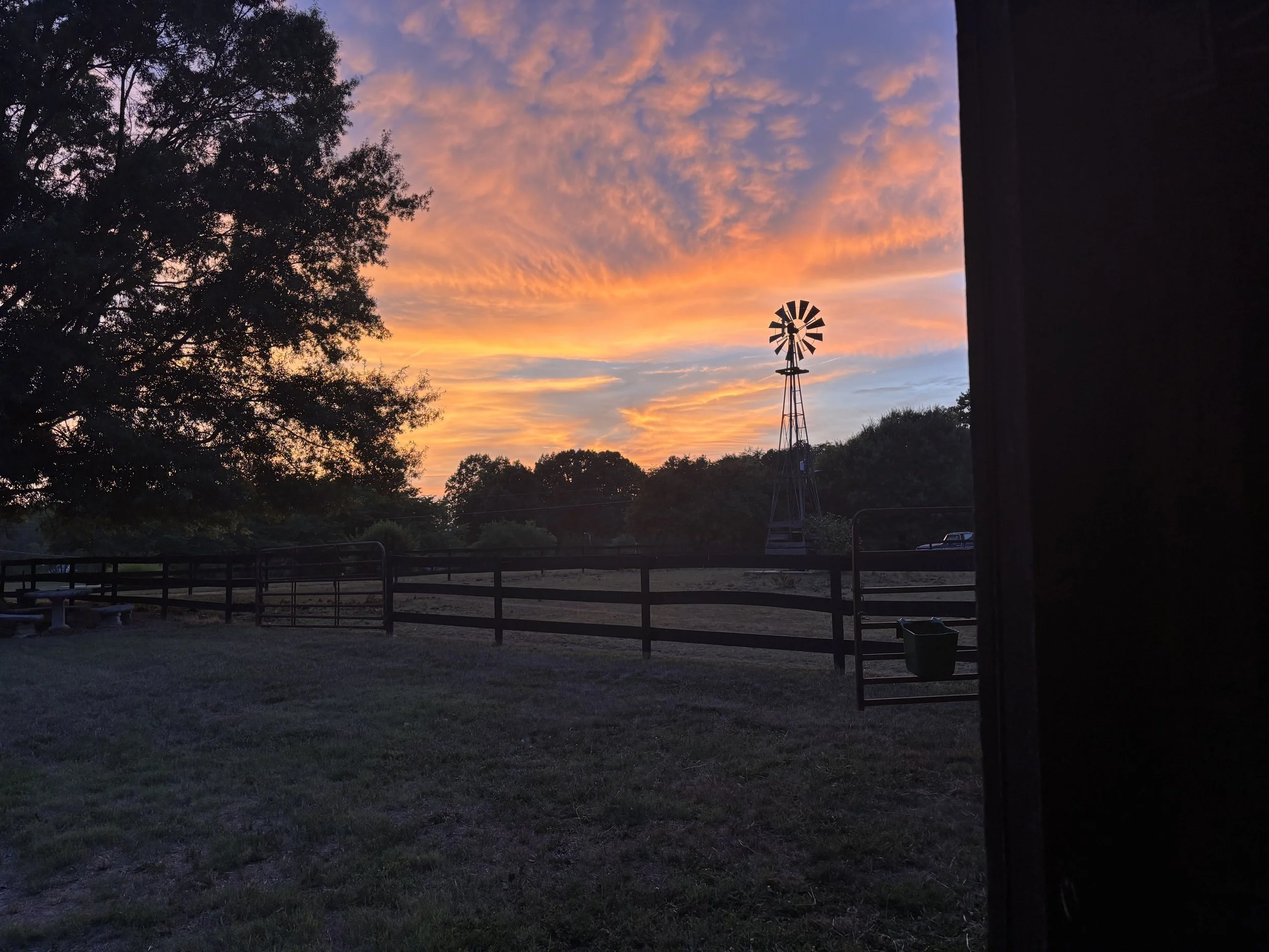 IMG_1426.jpeg