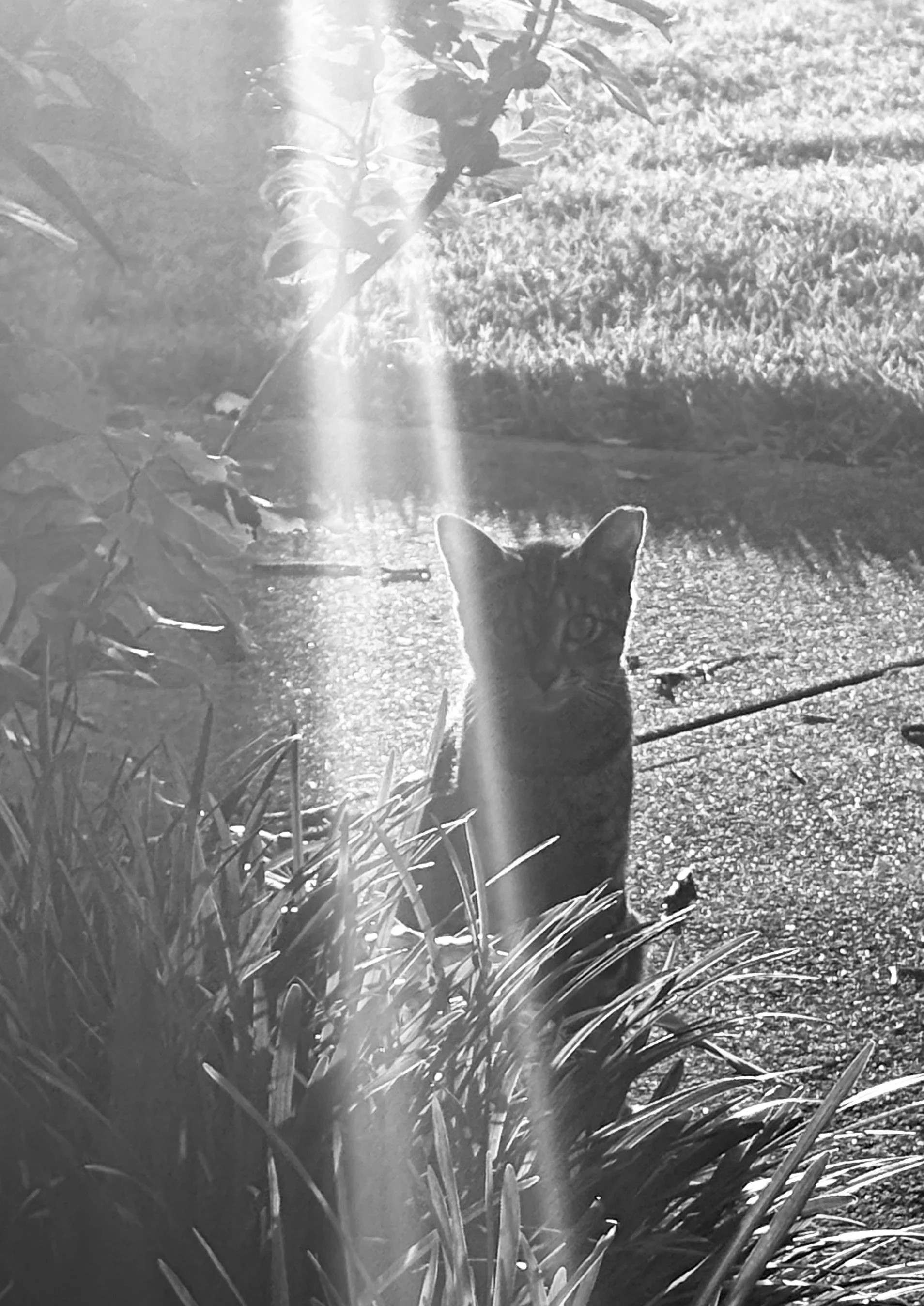 IMG_1543.jpeg