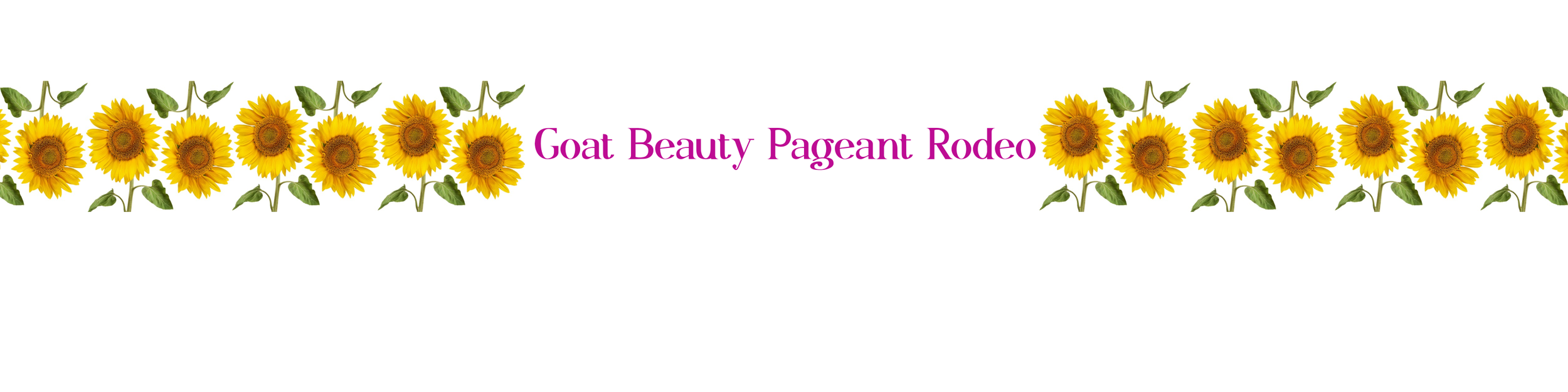 Etsy Shop Big Banner (8).png