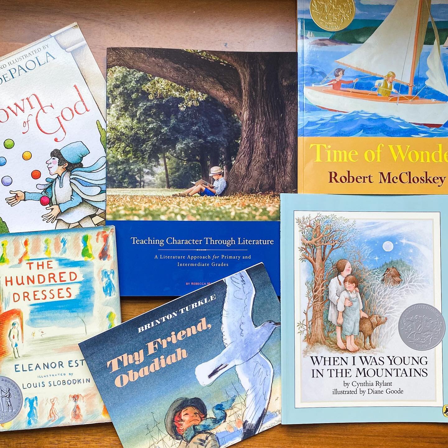 We read a lot around here 📖 

We read aloud every morning, we read throughout the day, we read books during school, and we read before bed. 

Picture books and chapter books that are living books, full of heart, magic, beauty, fun, and goodness&hell
