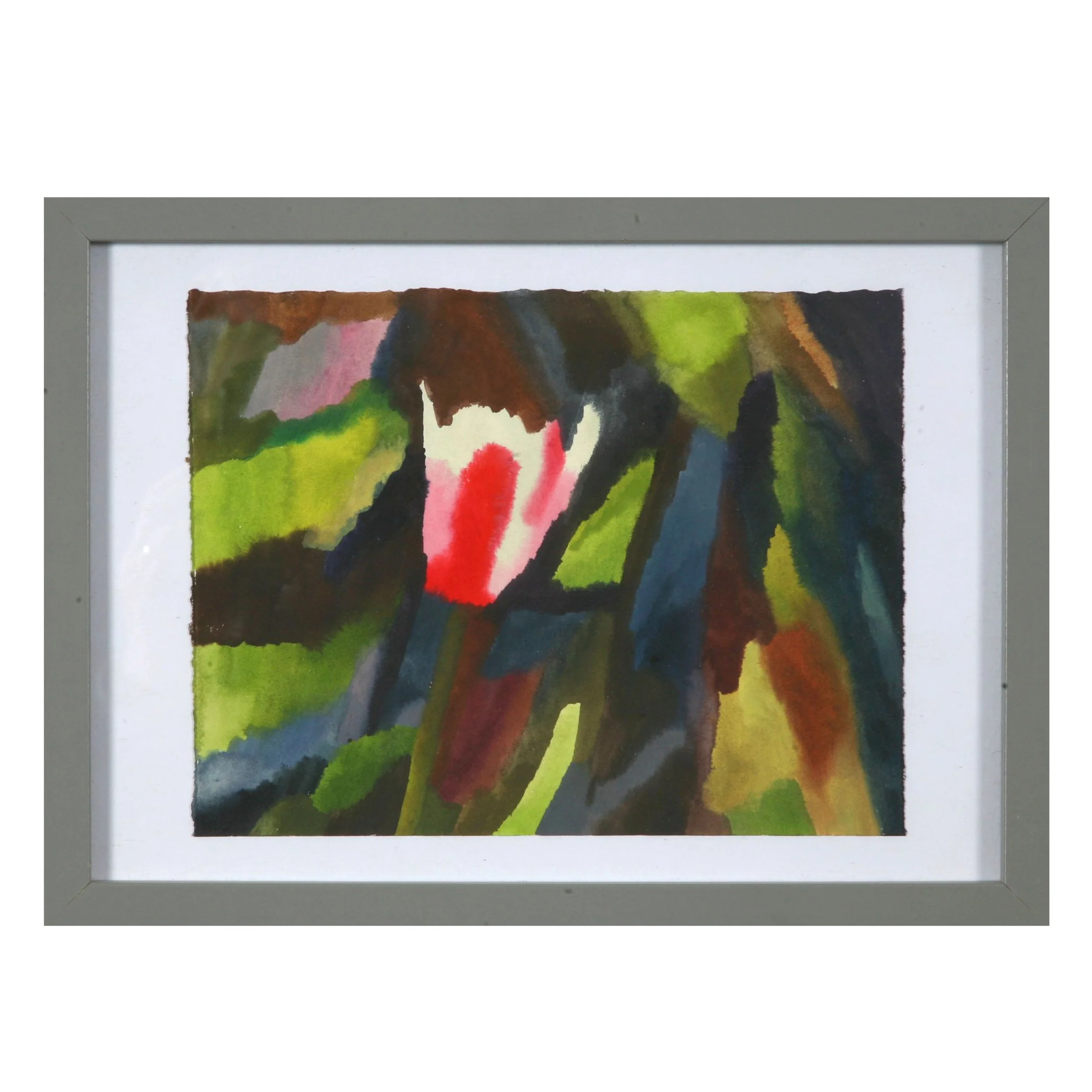 Tulip
