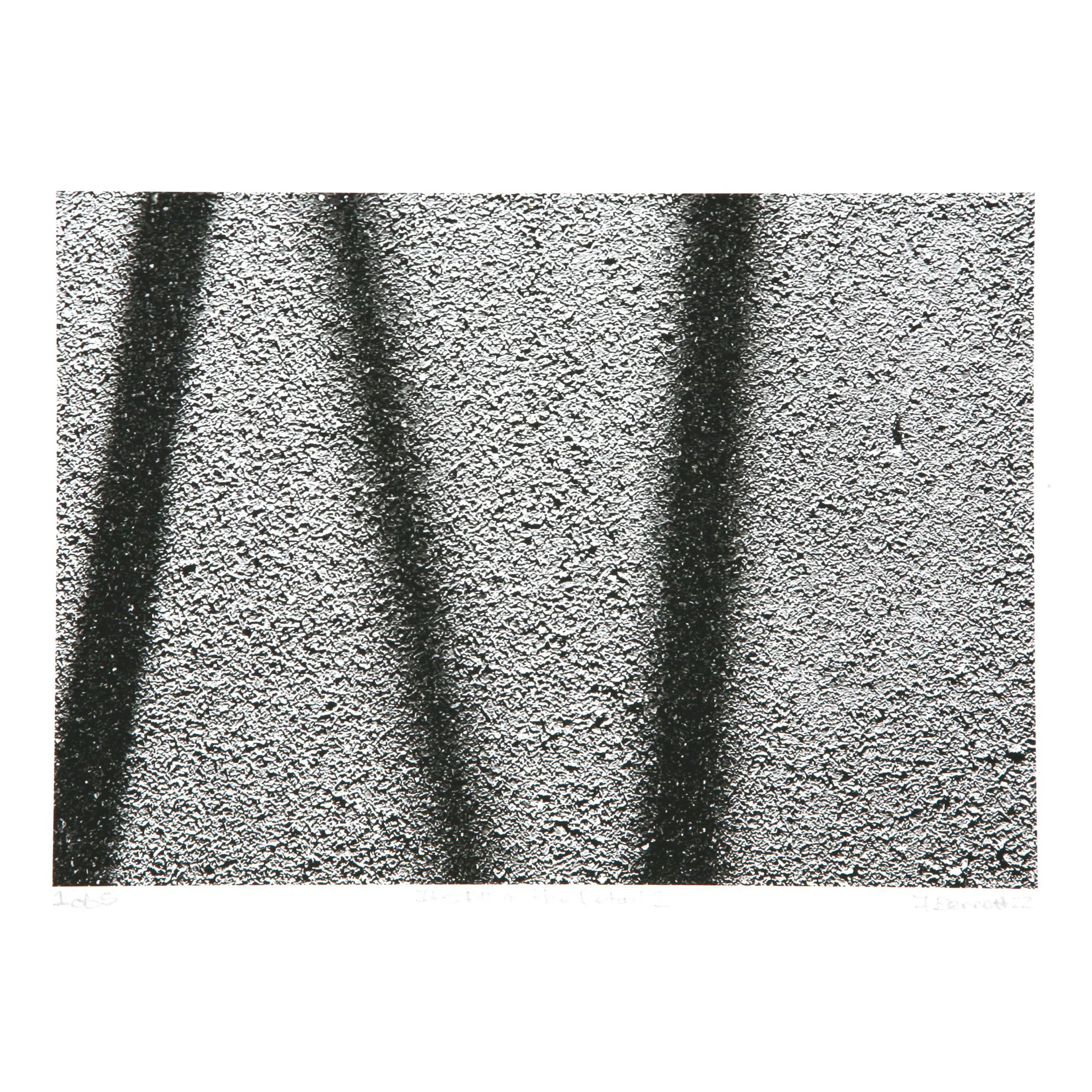 Fiona Bennett Its all in the detail.JPG