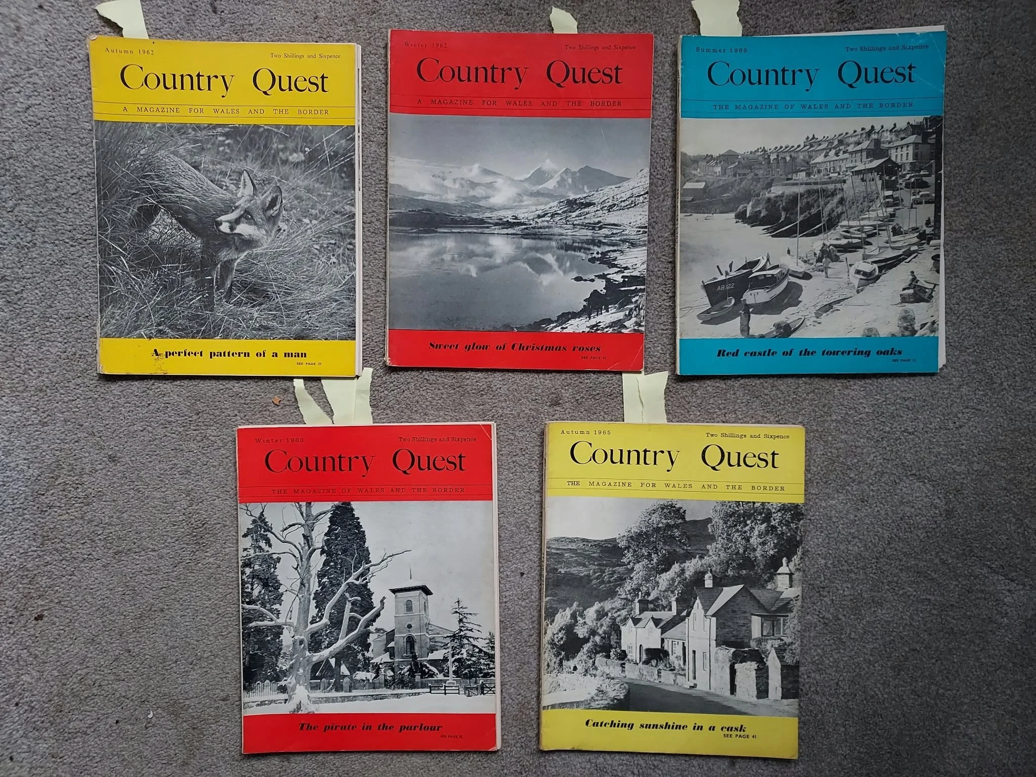countryquest7.jpg
