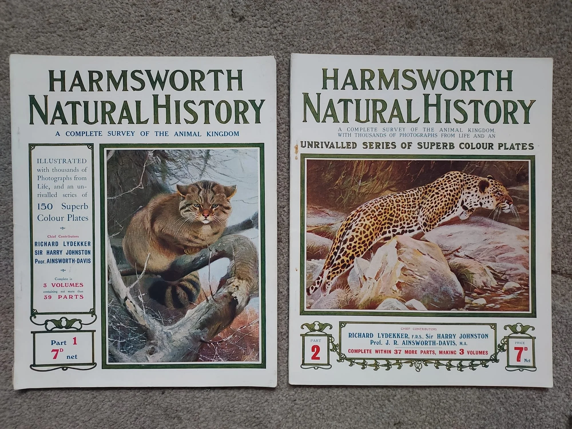 Harmsworth Natural History magazine, 1910-11