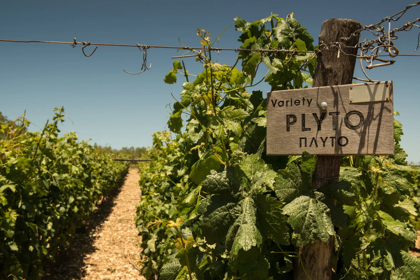 Plyto.sign.small.jpg